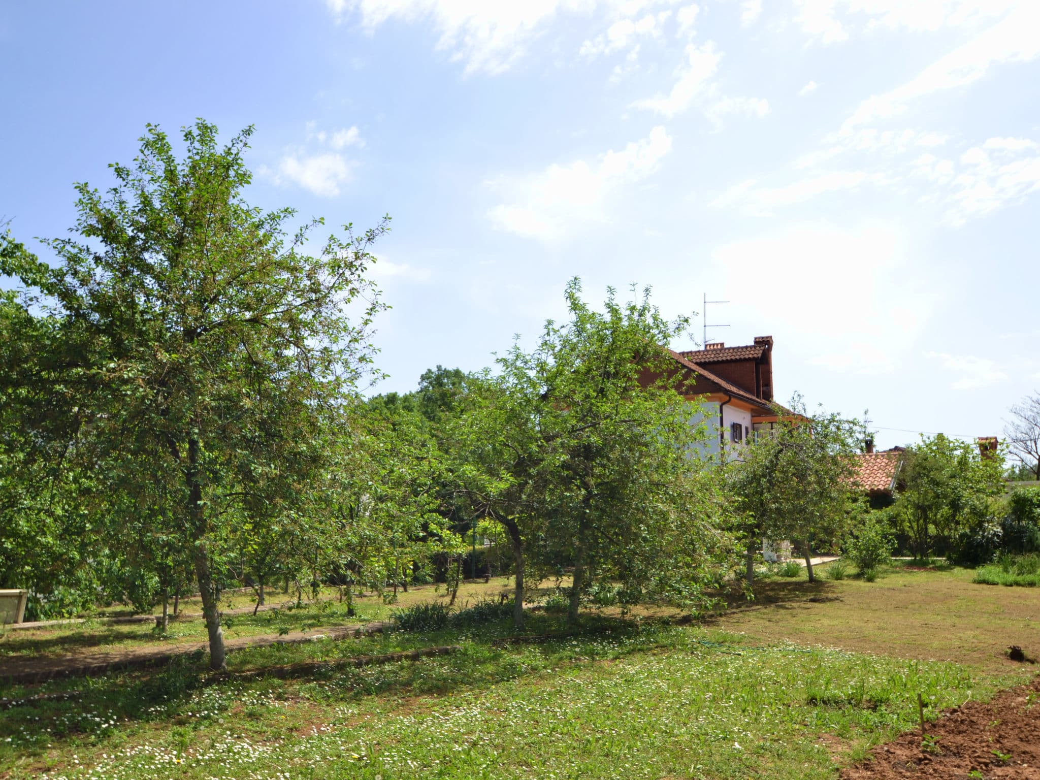 Outdoor