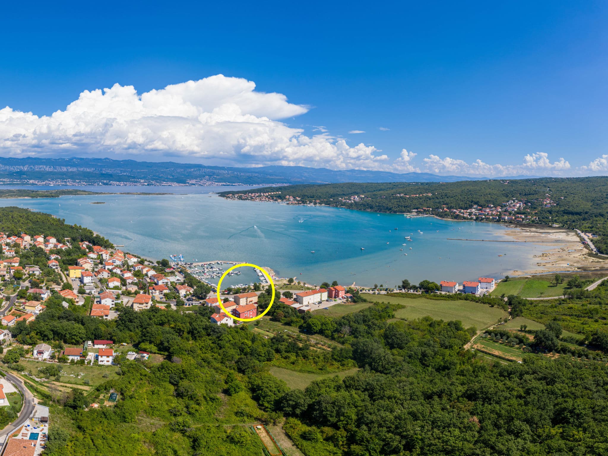 View
