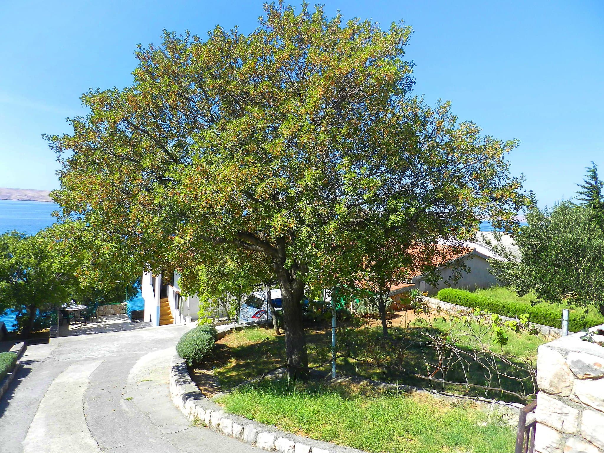 Outdoor
