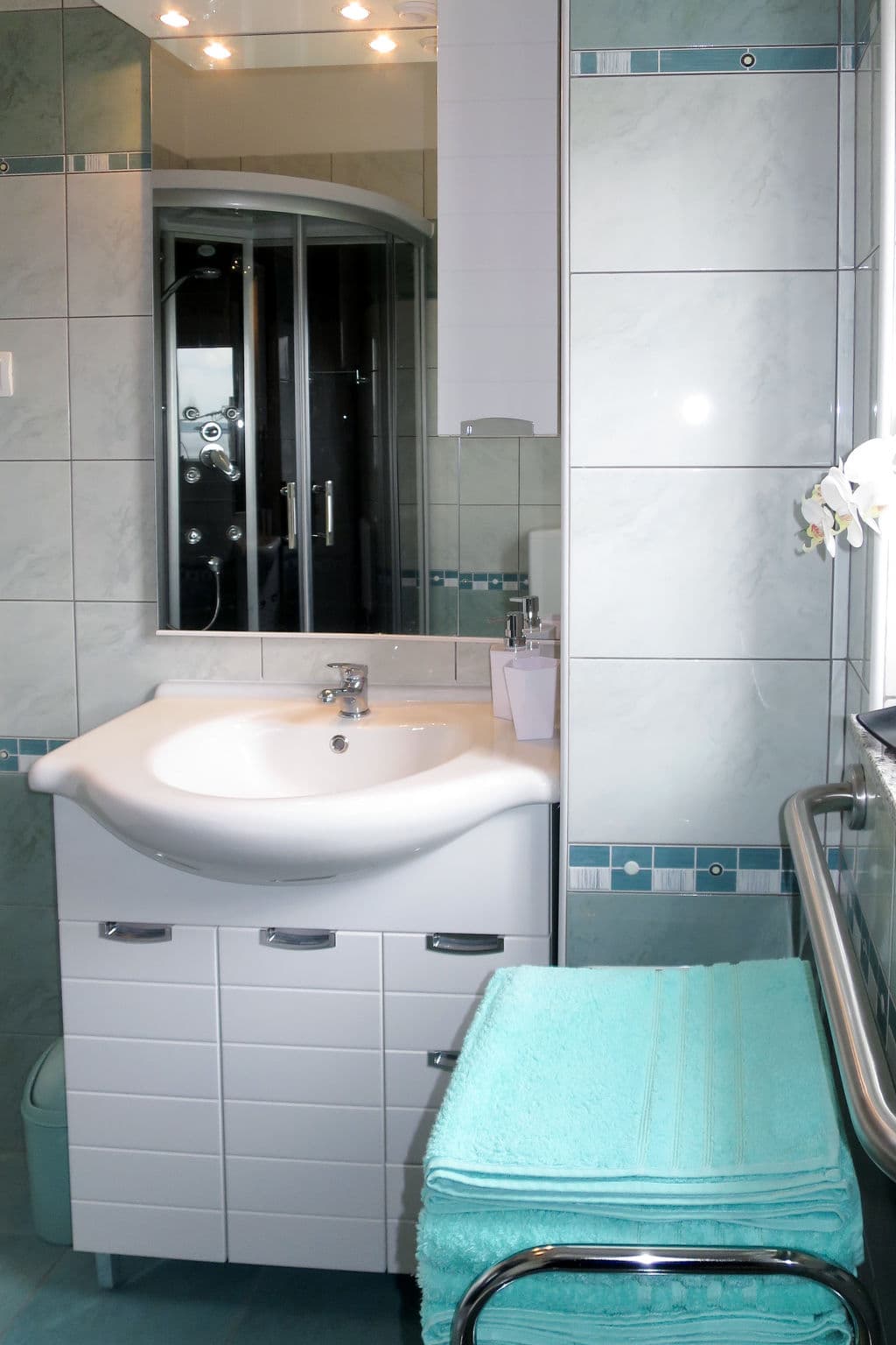 Bathroom / Wellness