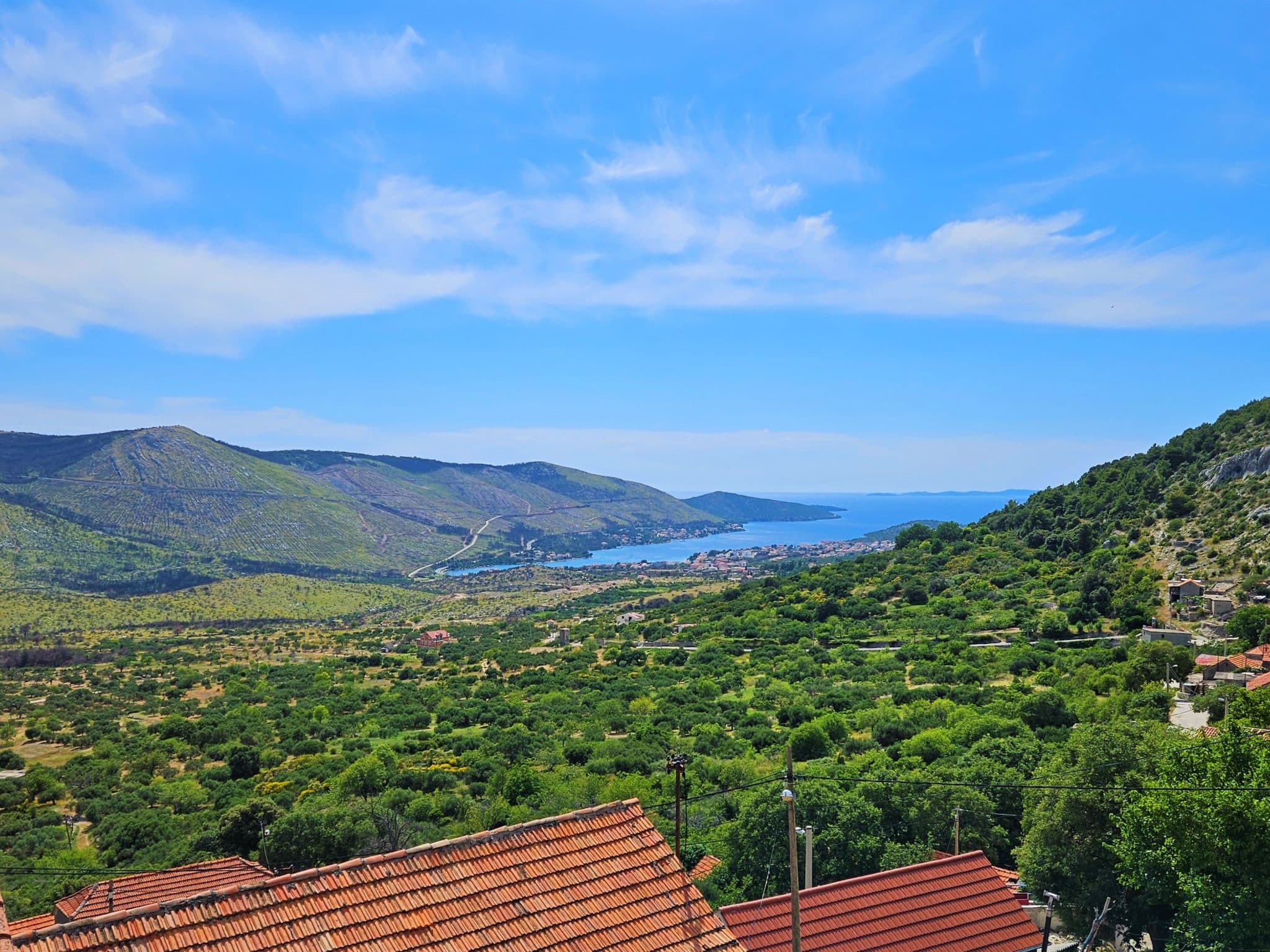 View