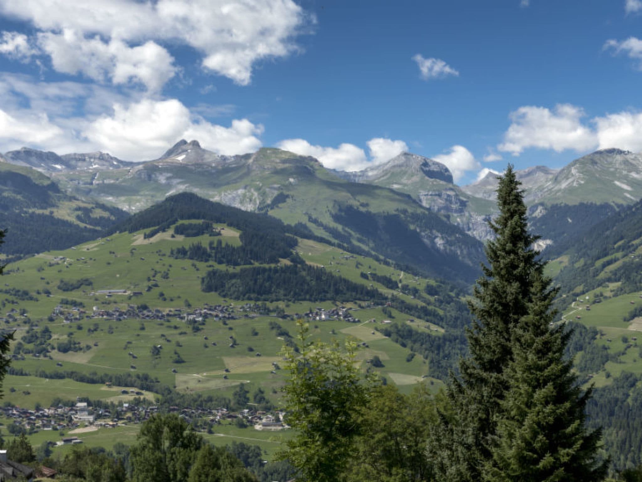 View