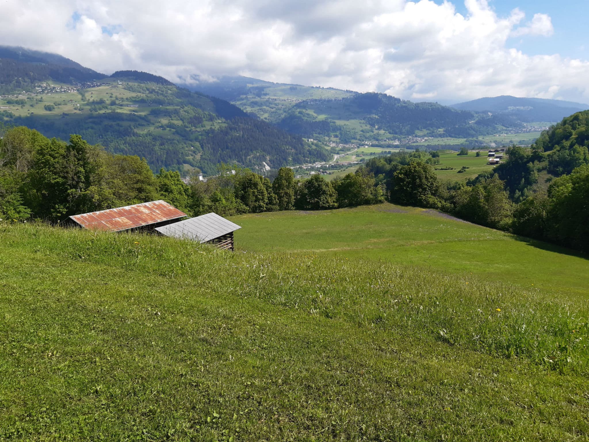 View