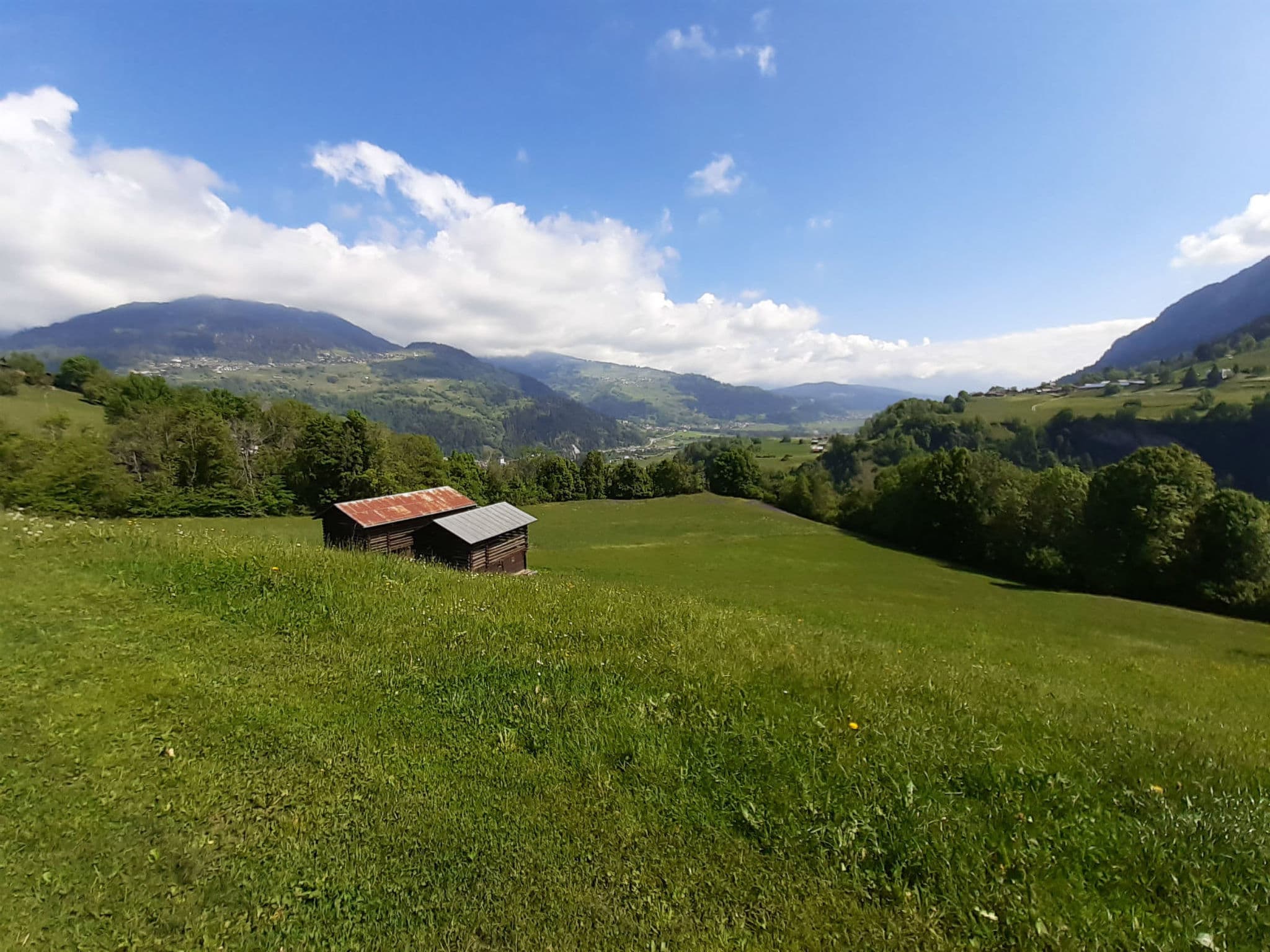 View