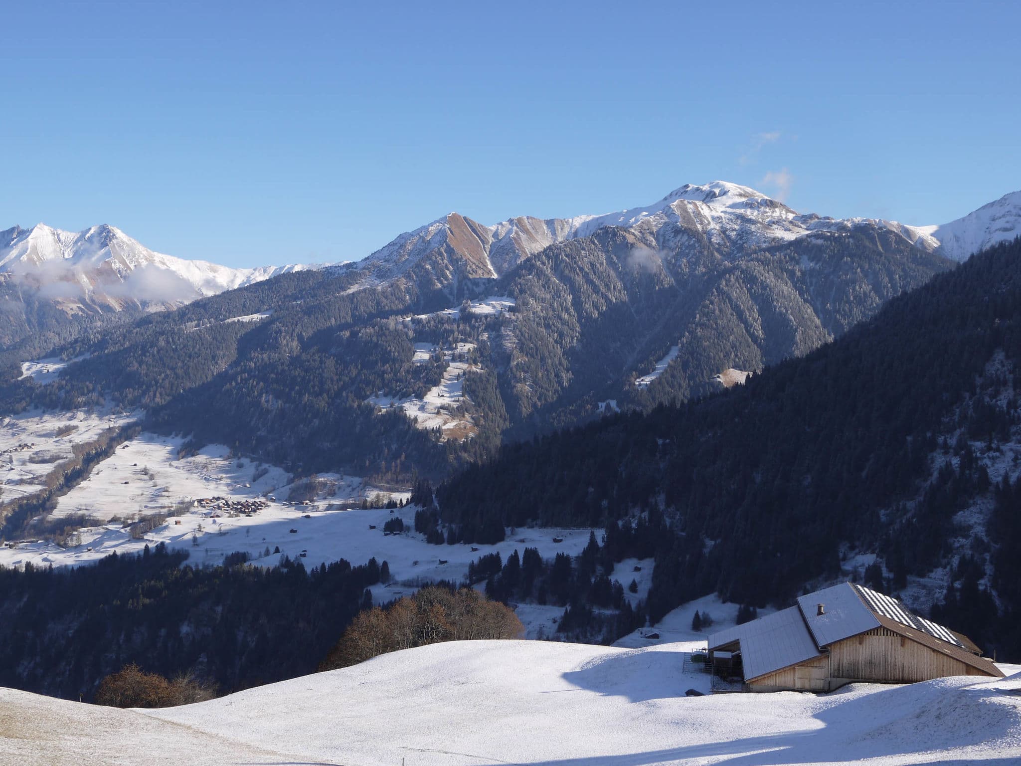 View