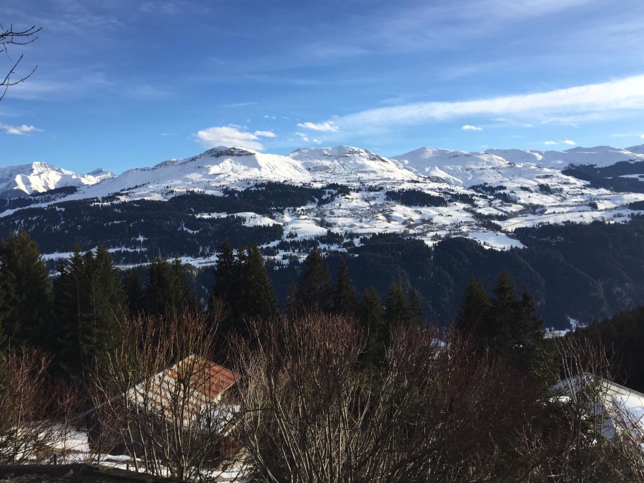 View