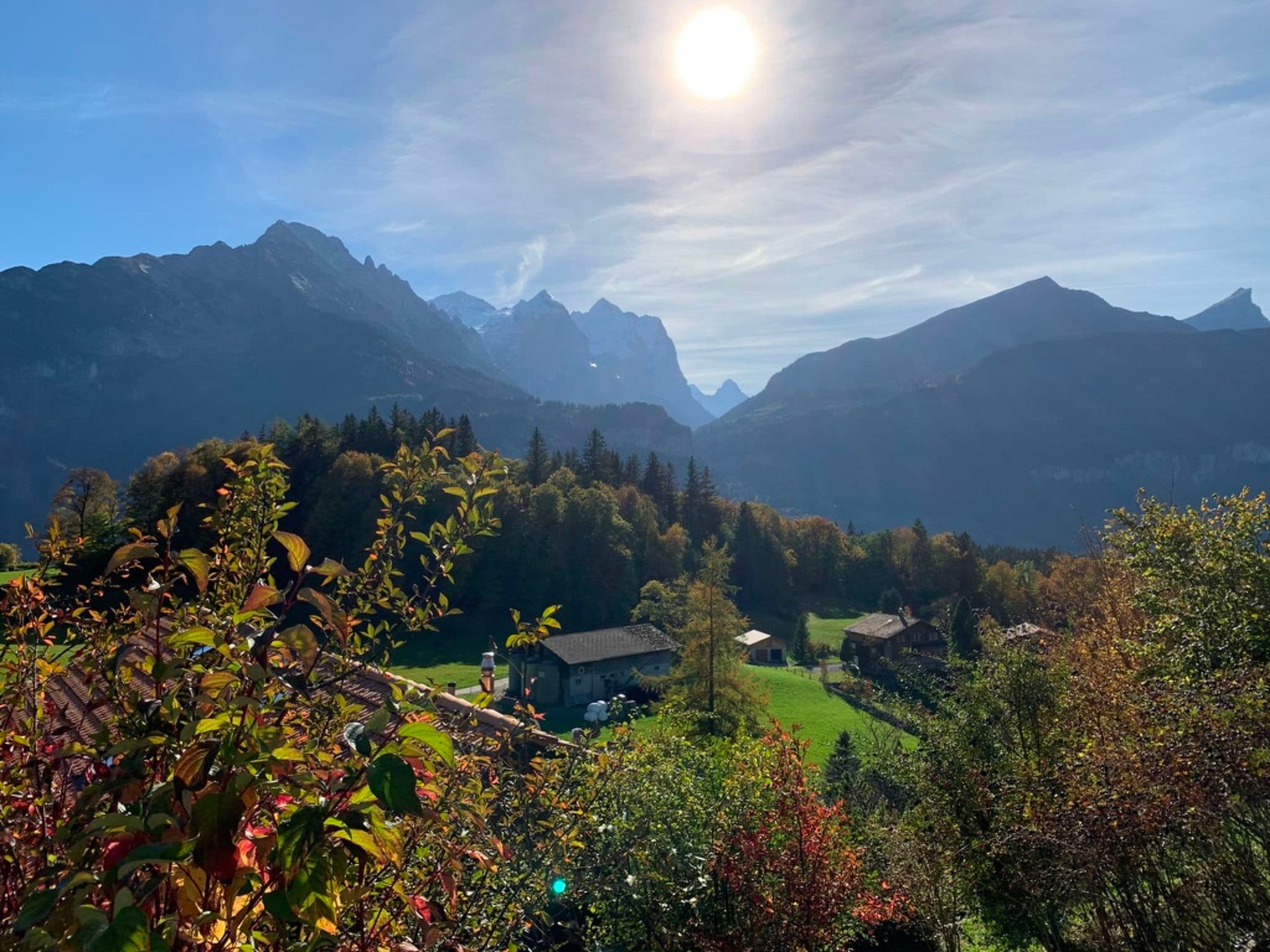 View