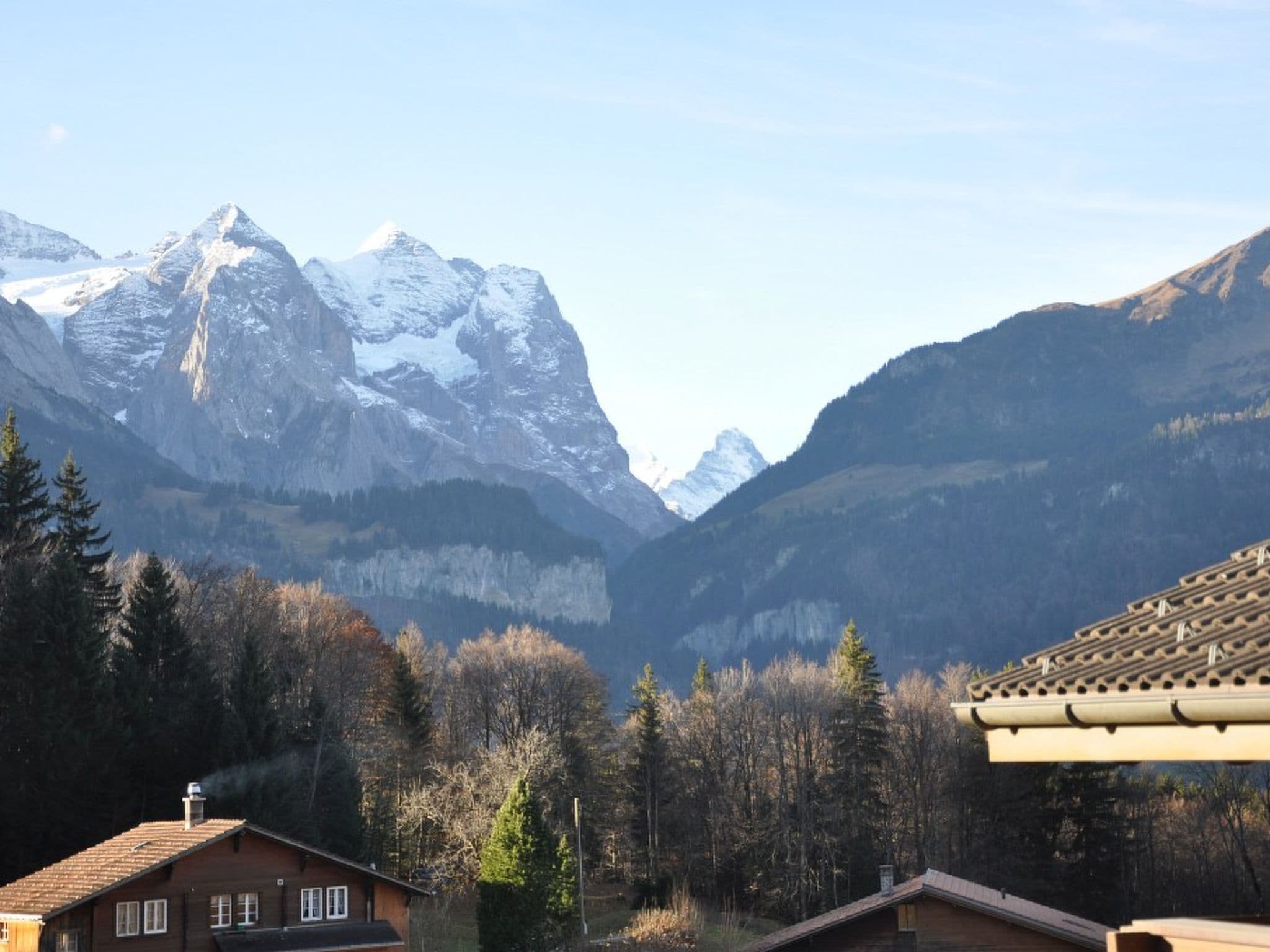 View