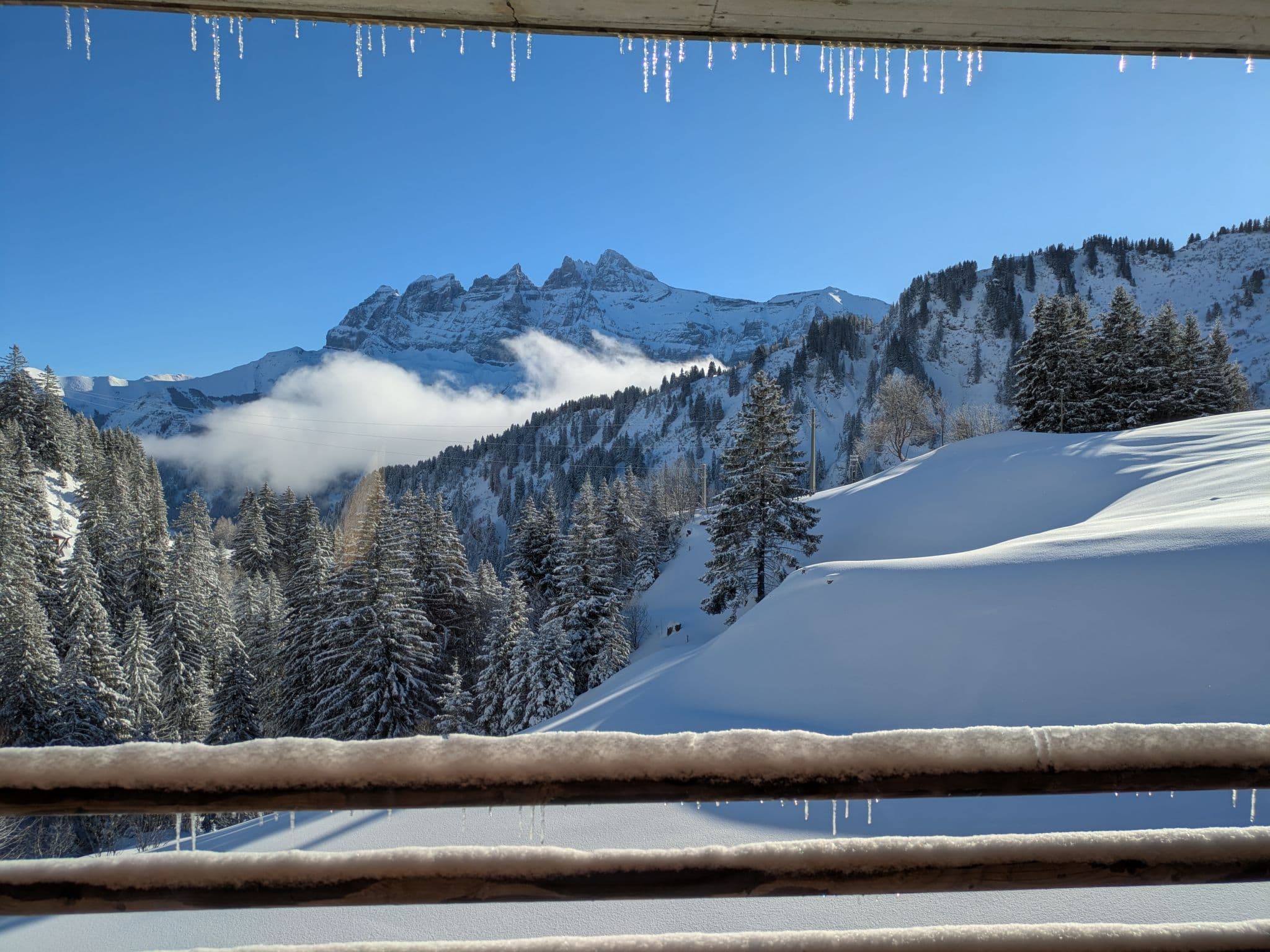 View