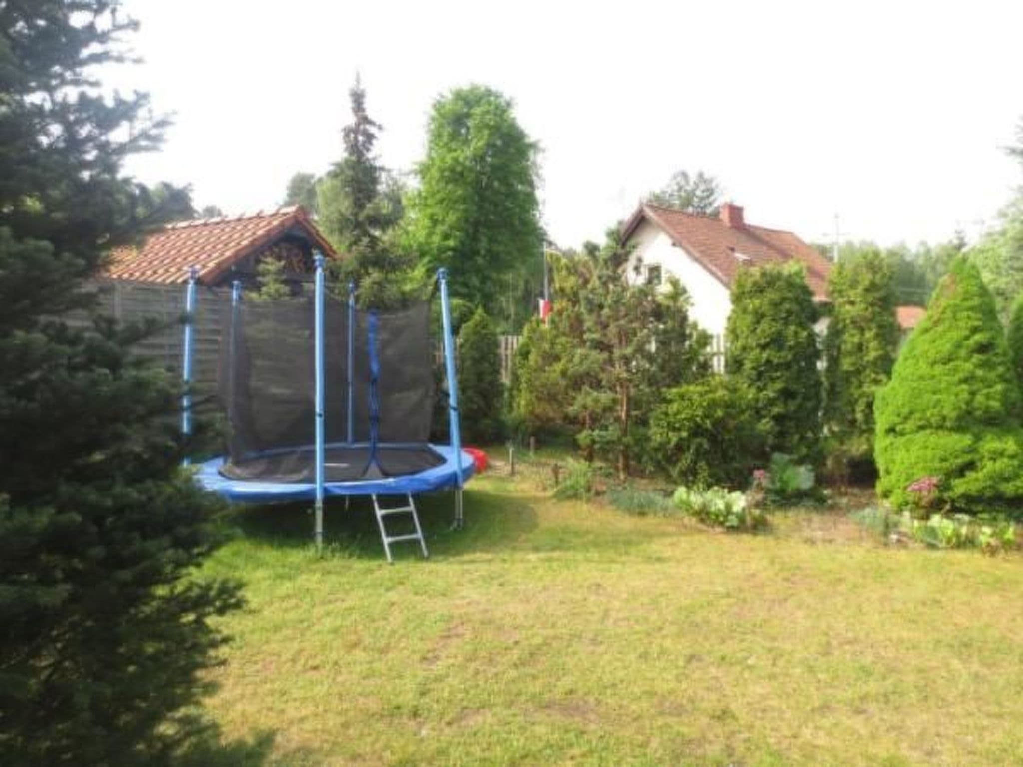 Gallery Image 31