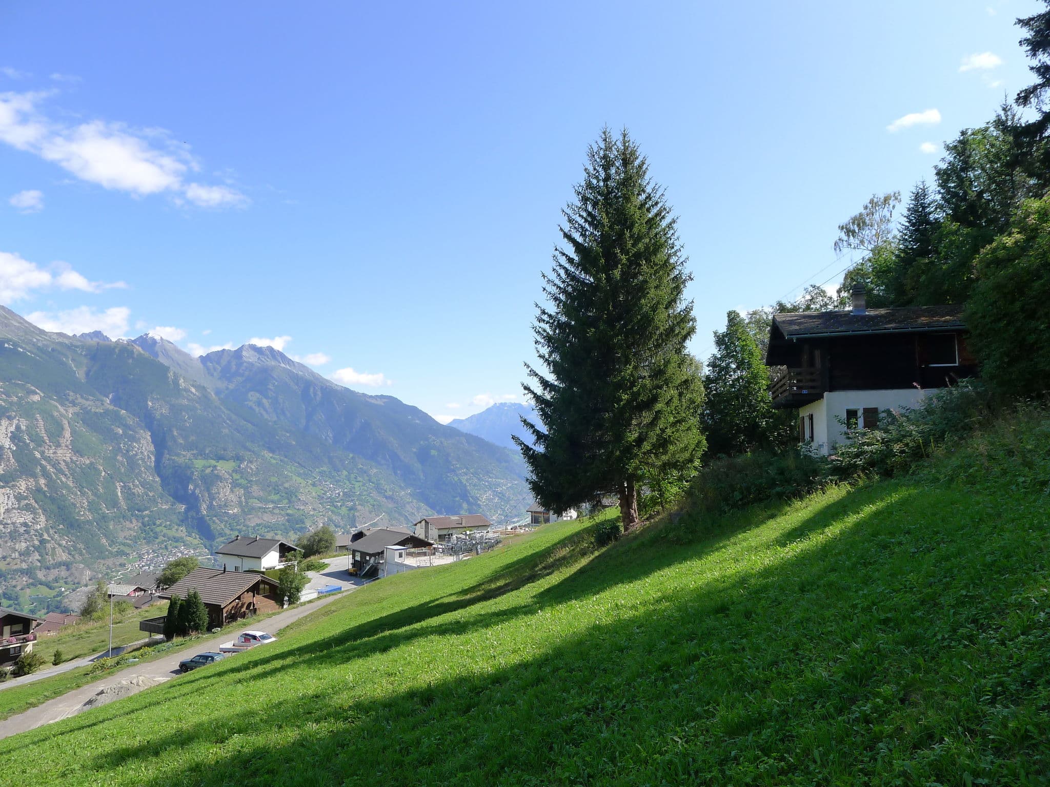 View