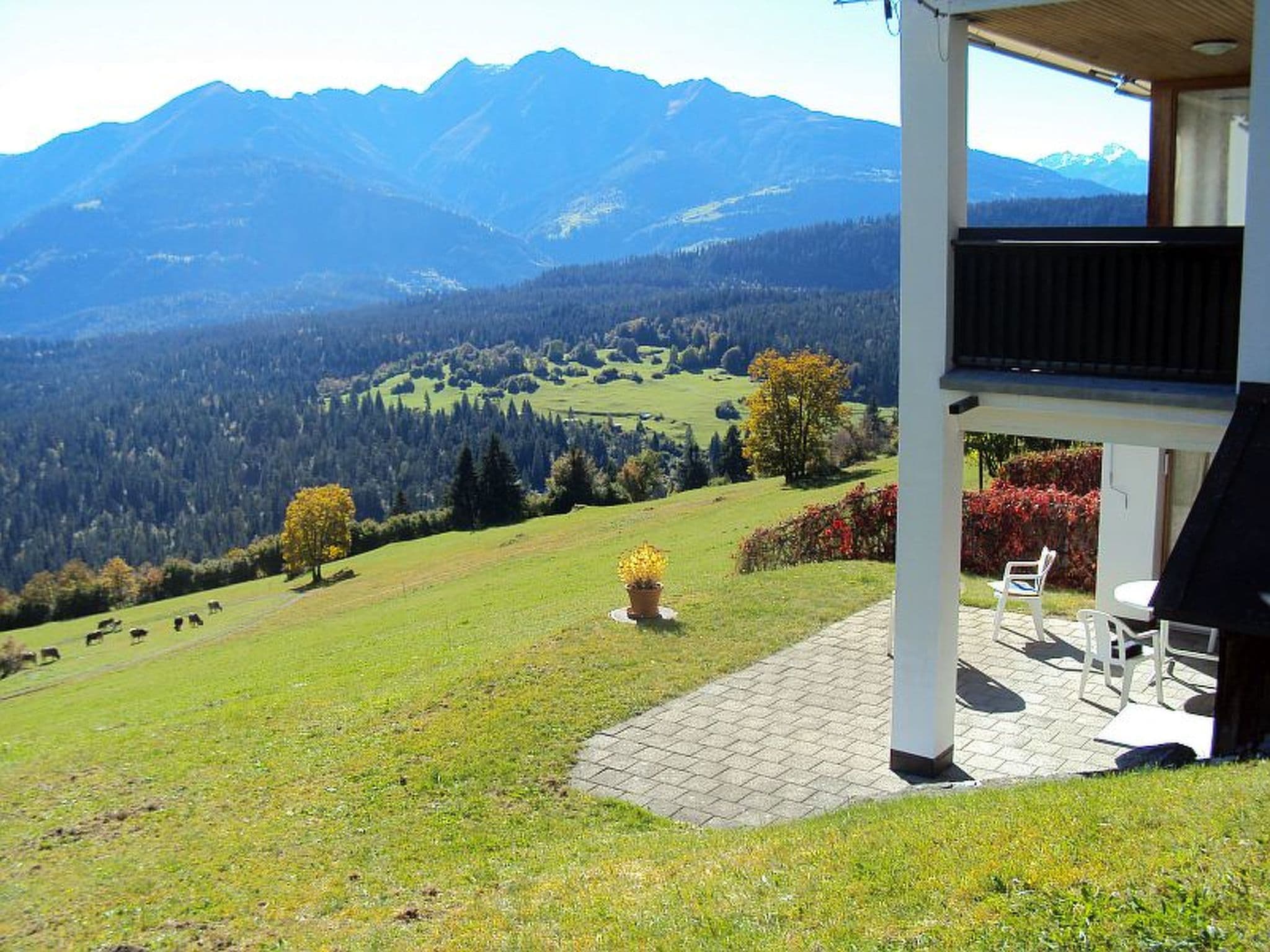 View