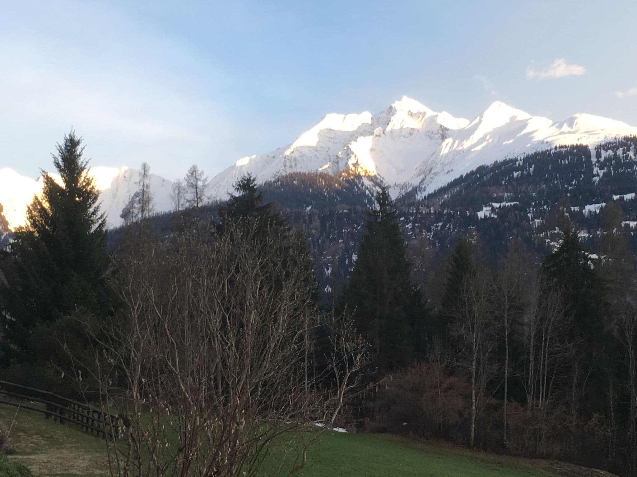 View