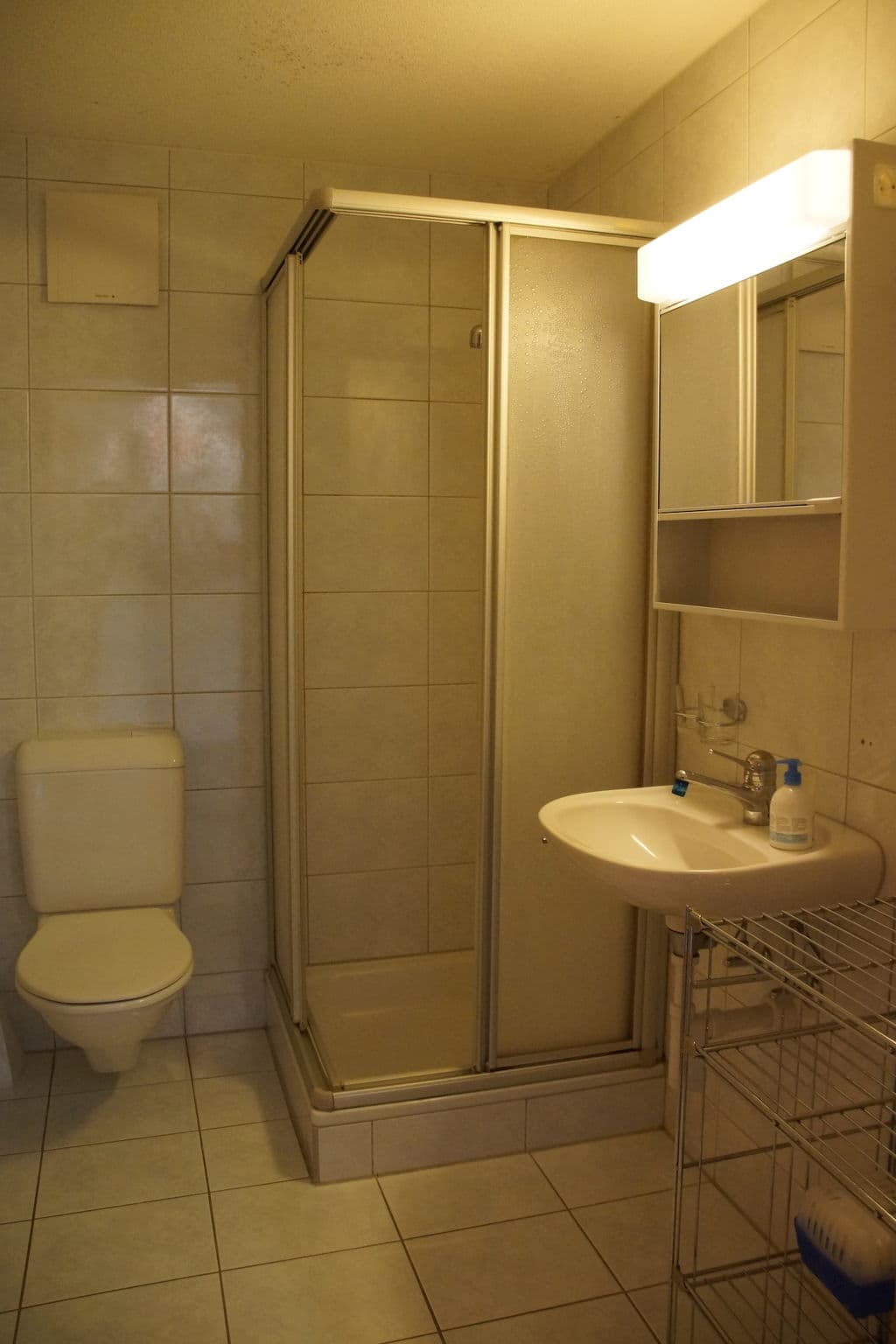 Bathroom / Wellness
