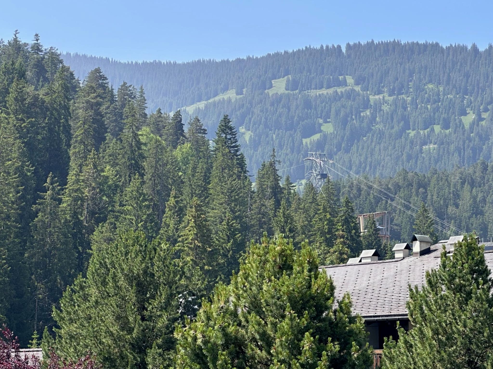View
