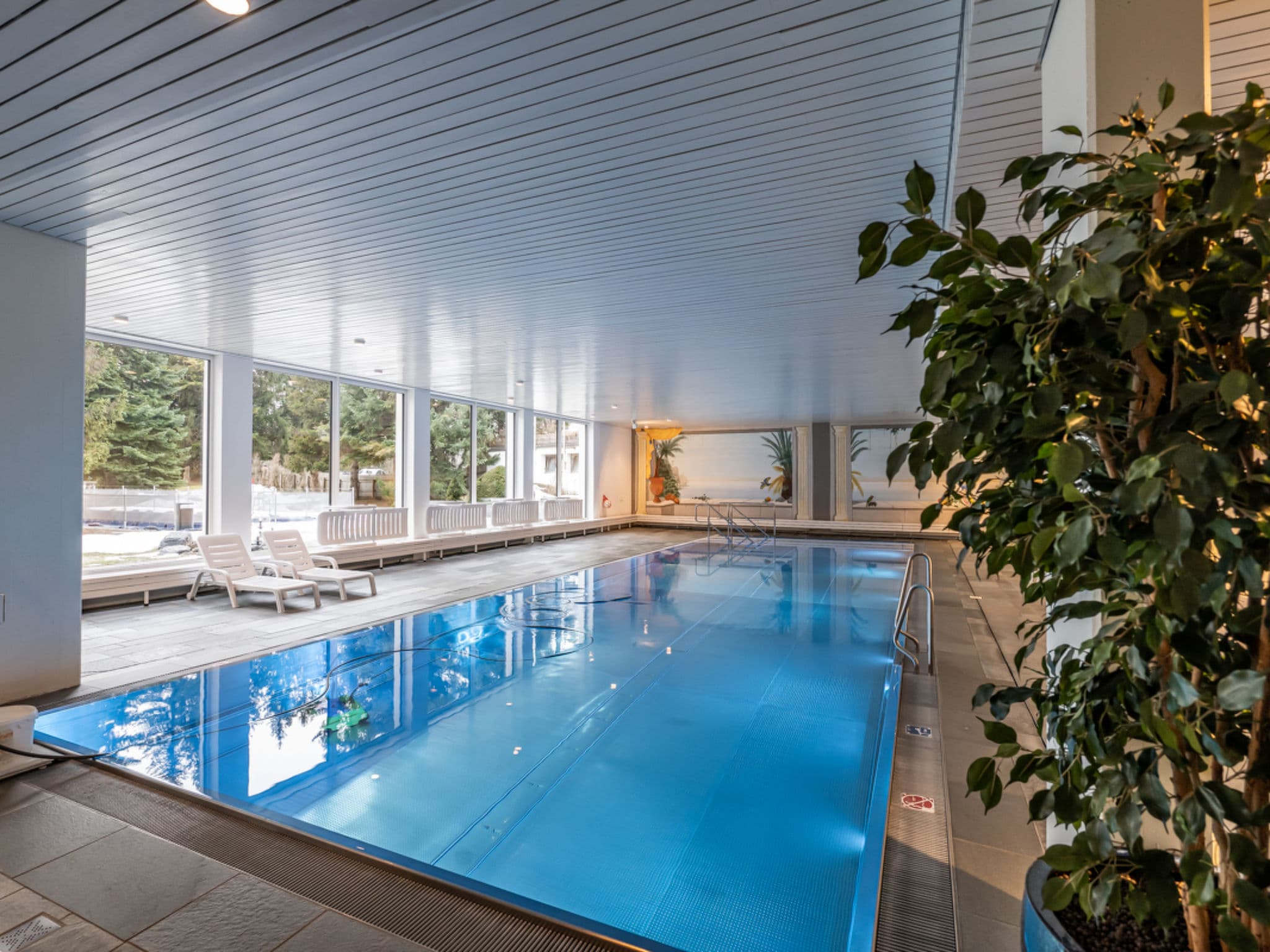 Pool Indoor