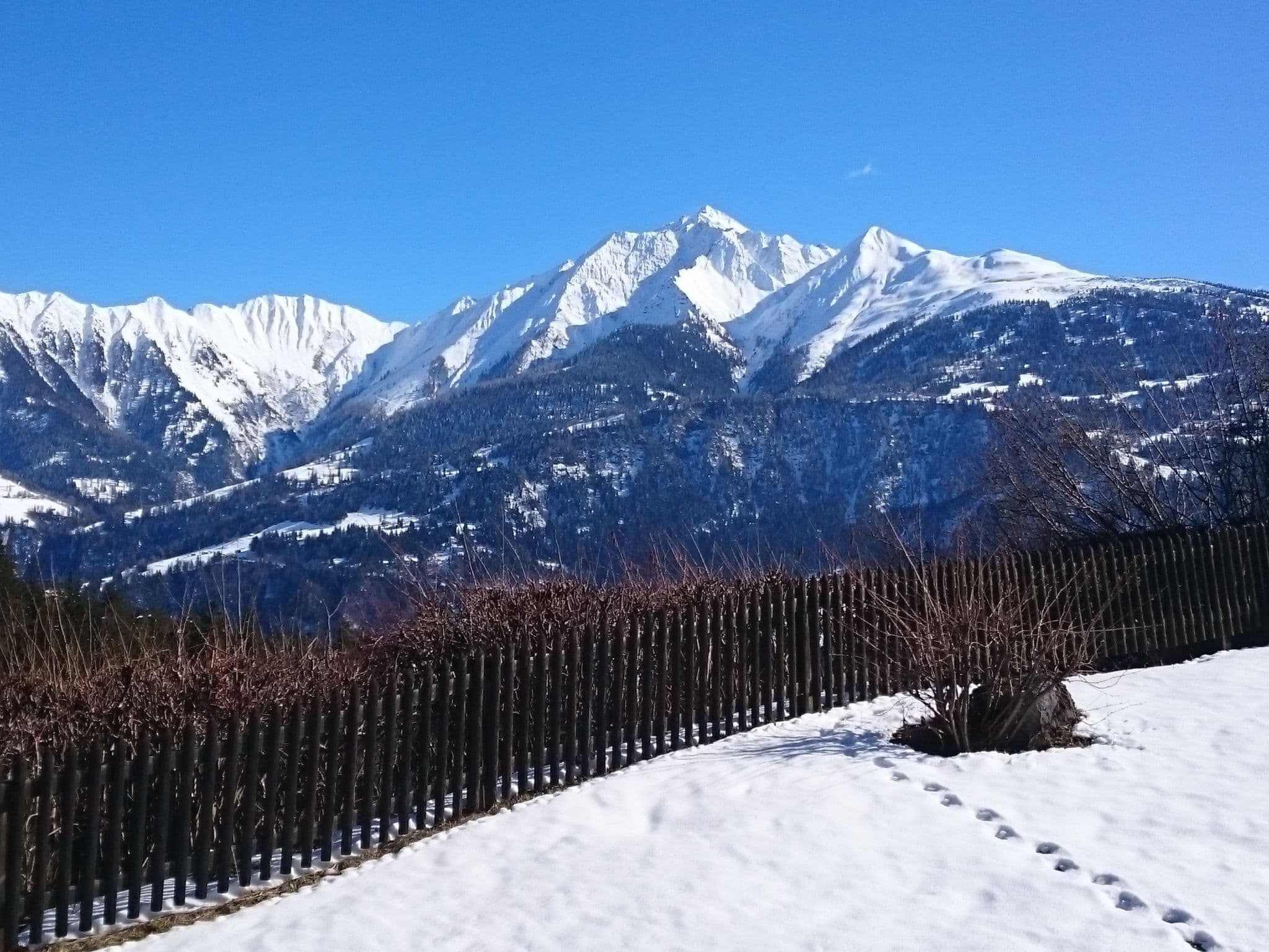 View