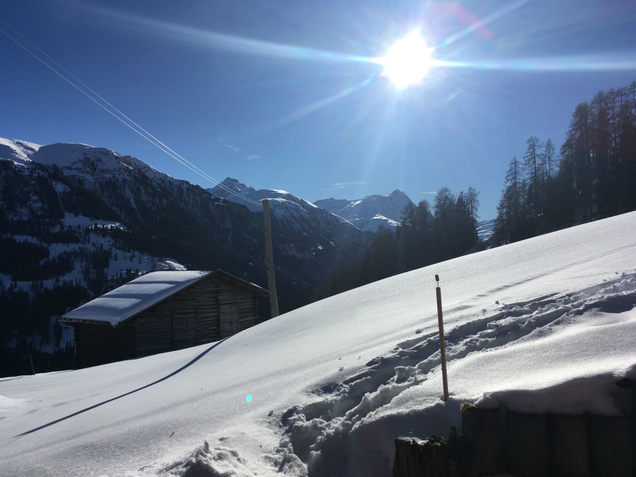 View