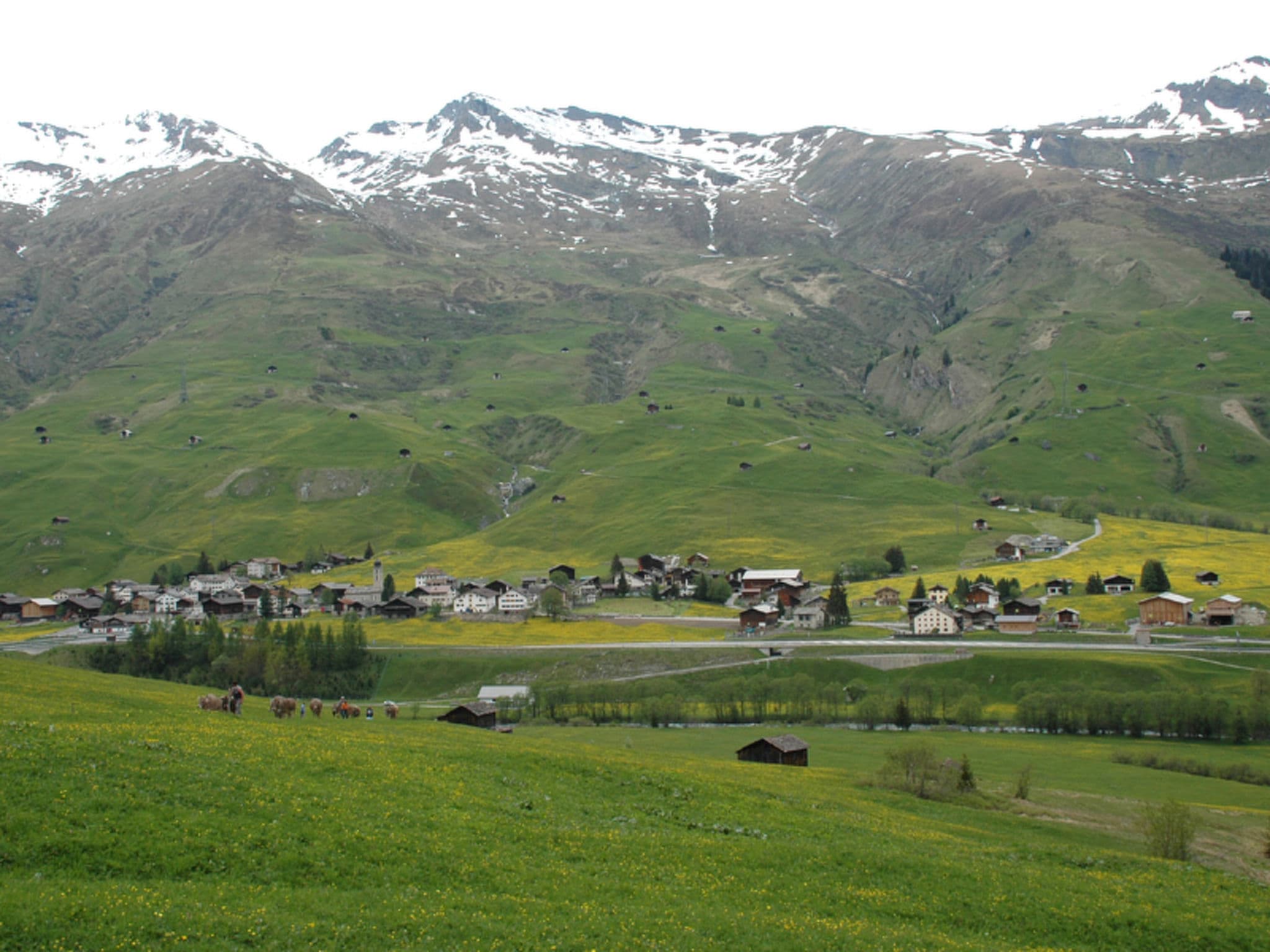 View