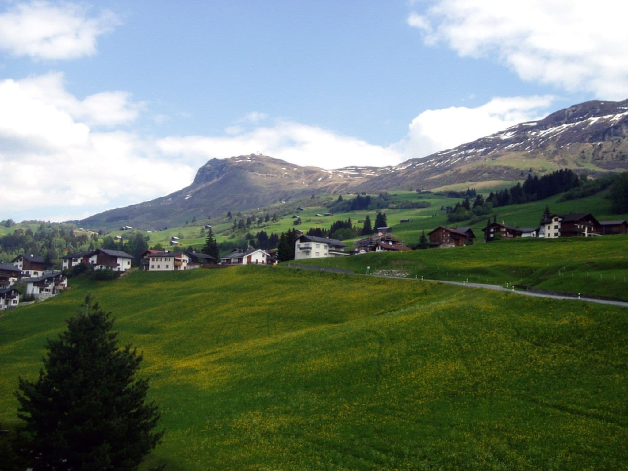 View