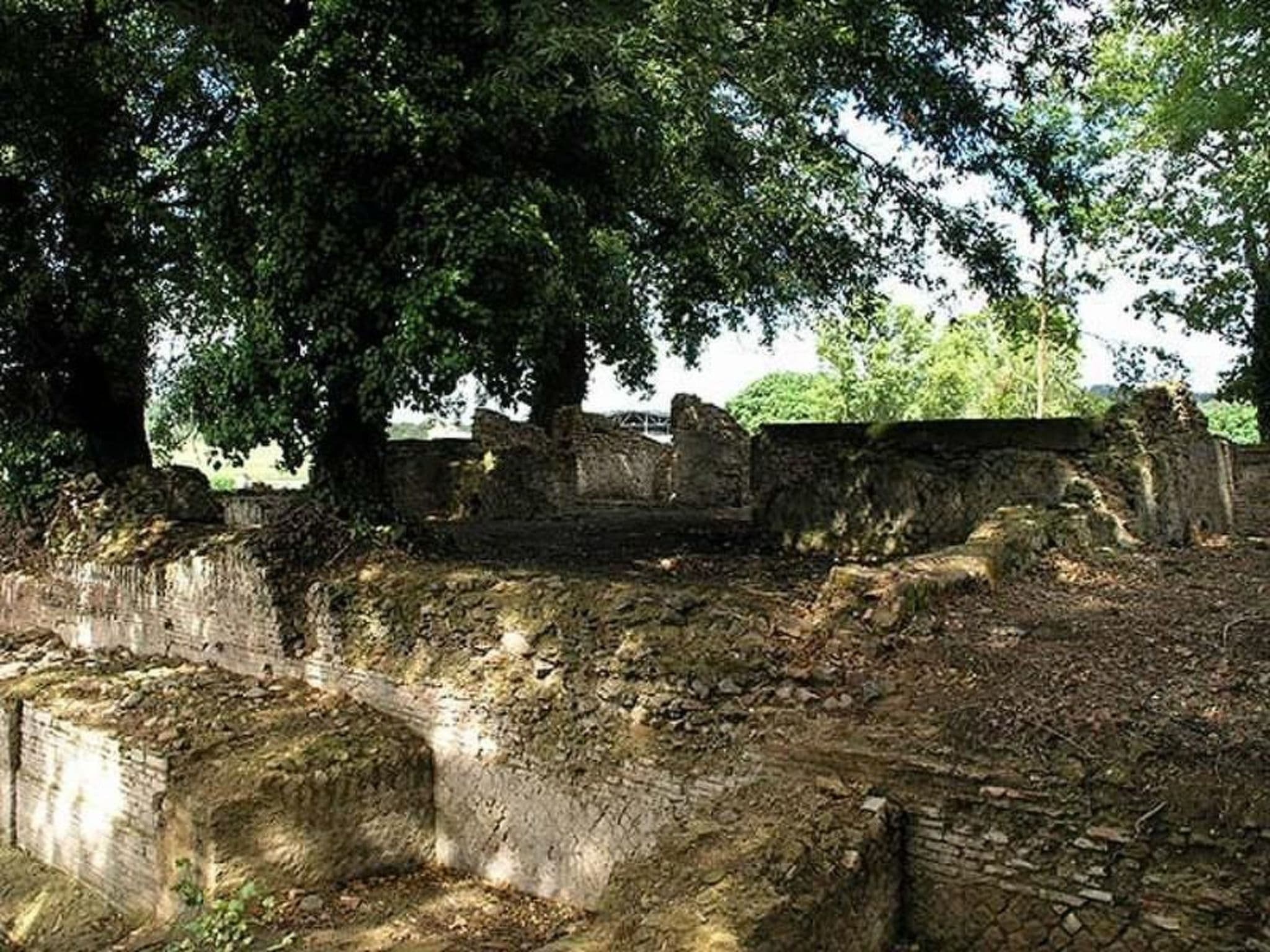 Gallery Image 17