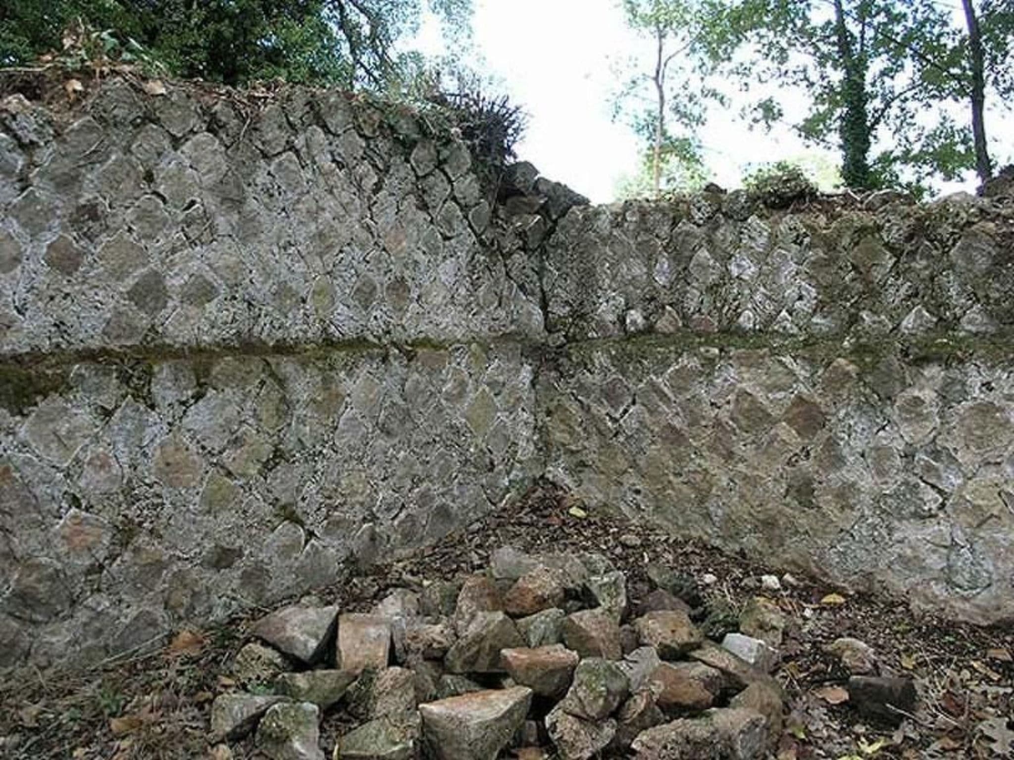 Gallery Image 18