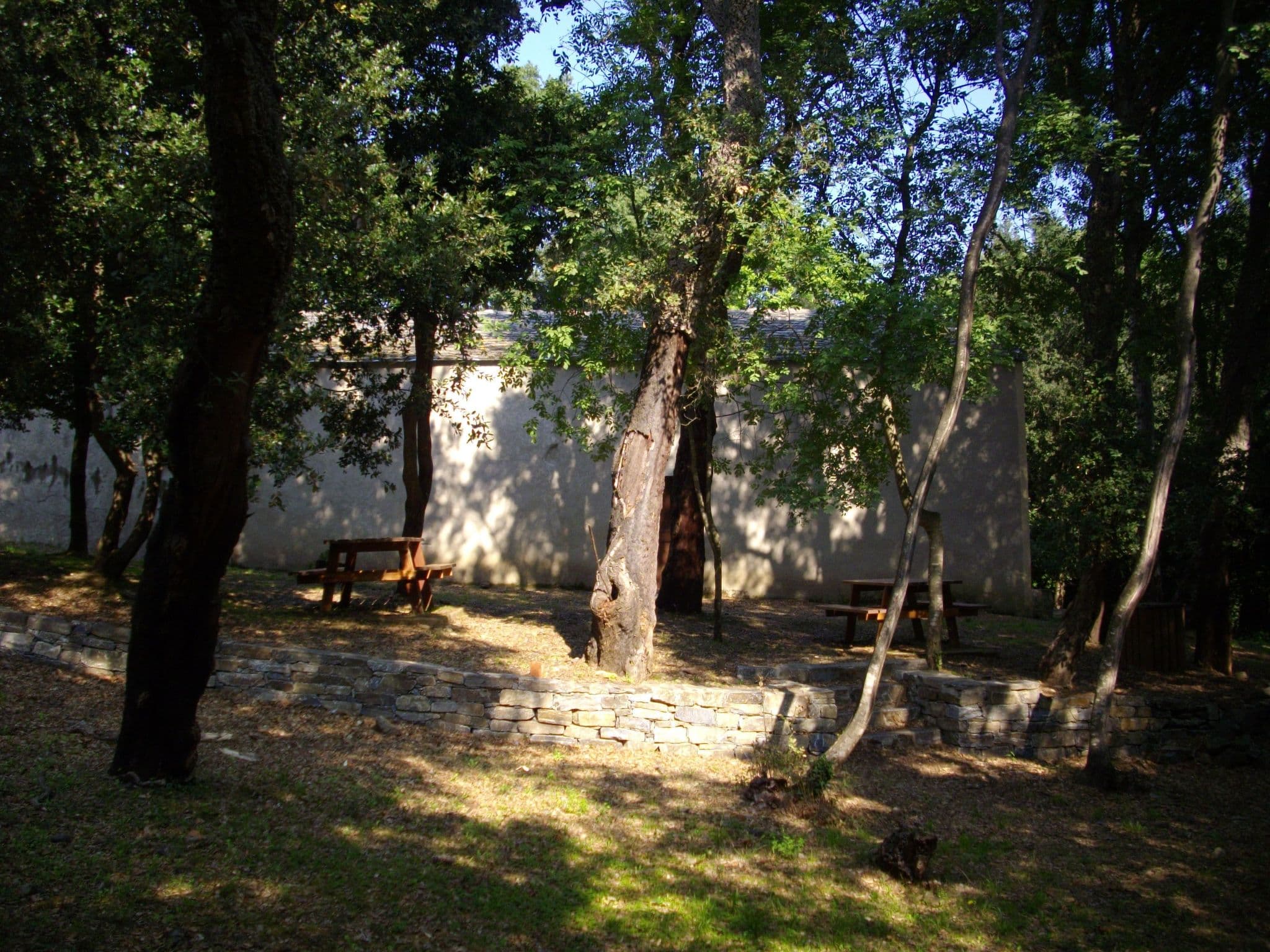 Gallery Image 21