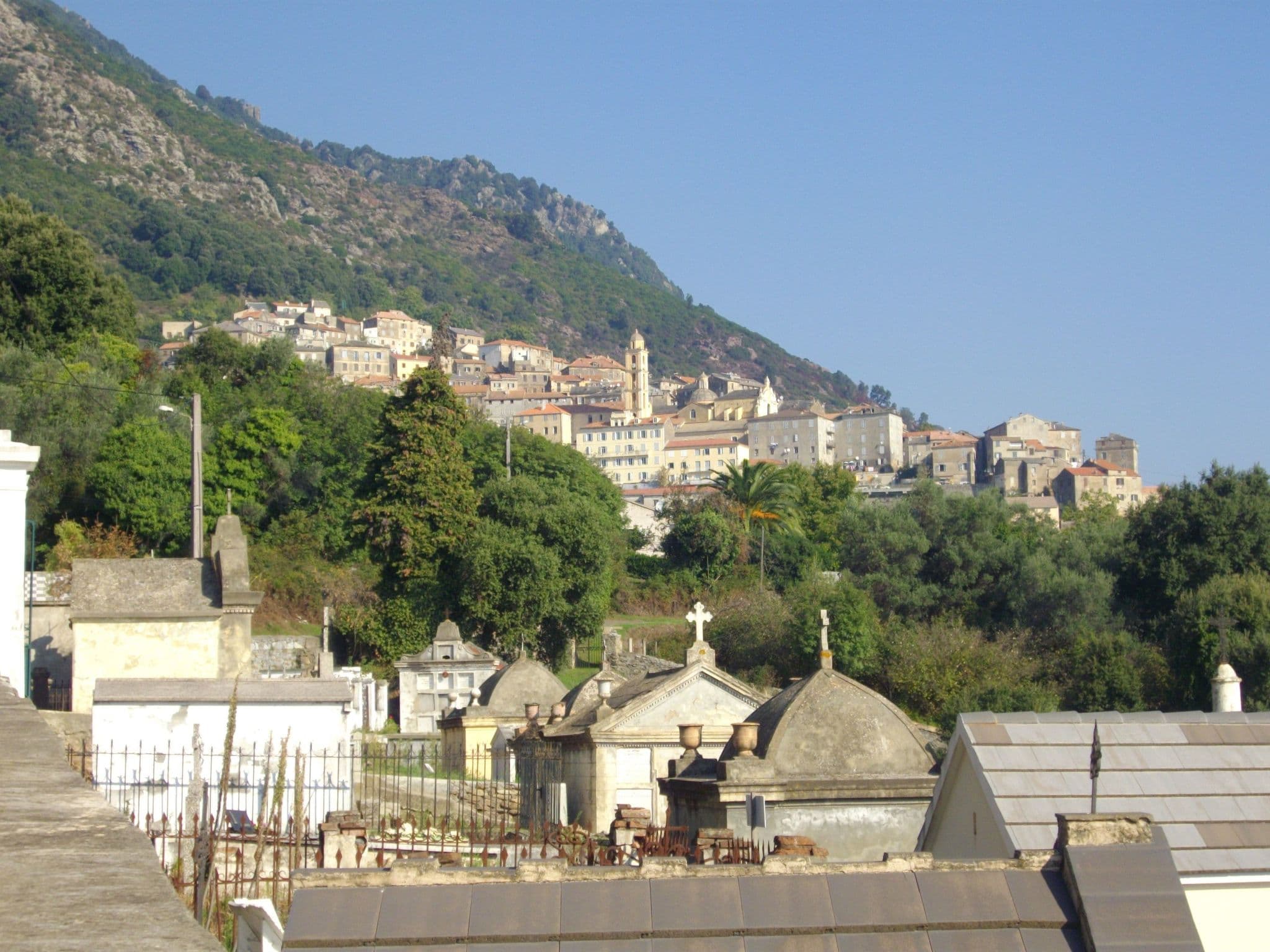 Gallery Image 25