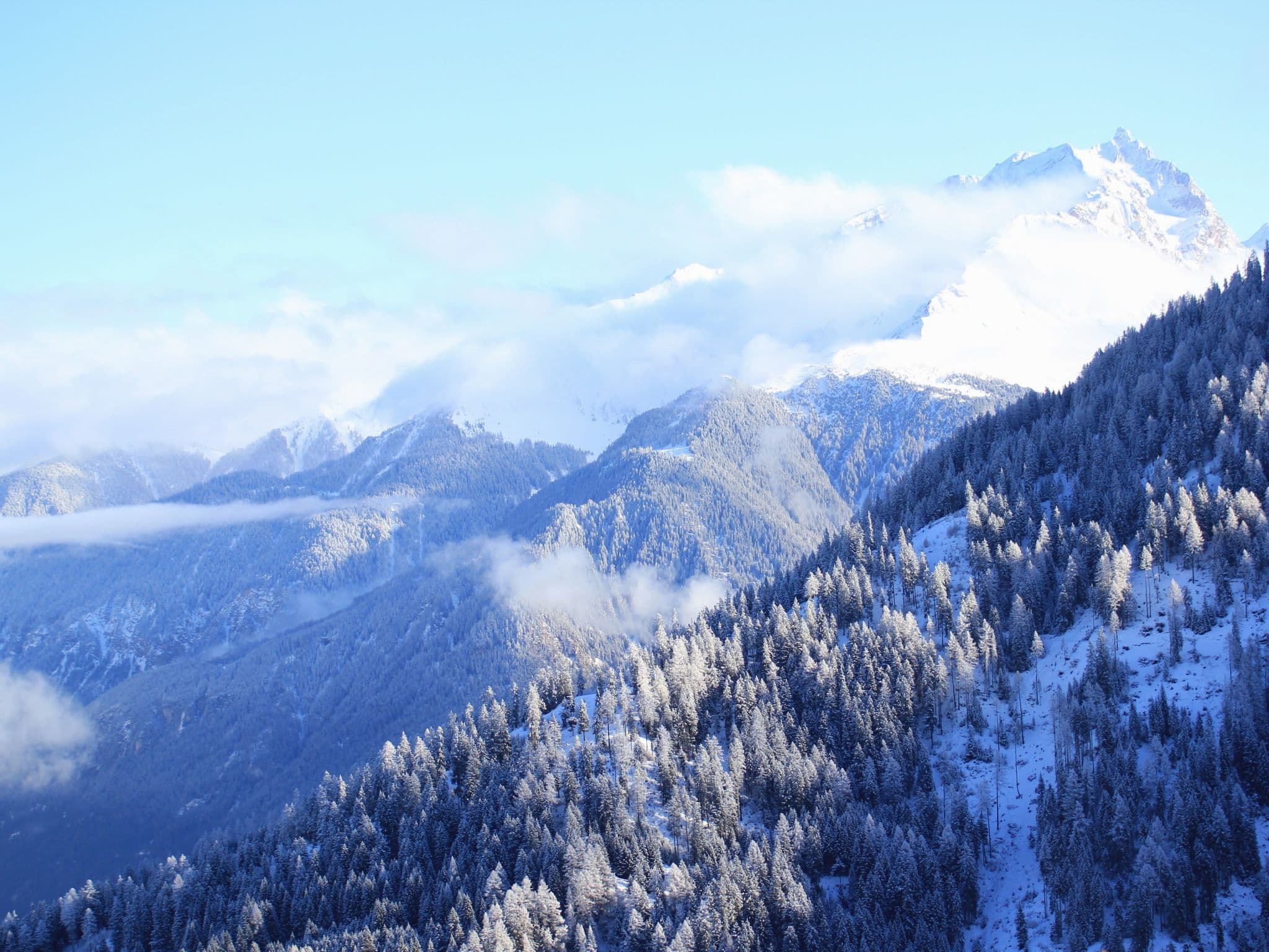 View