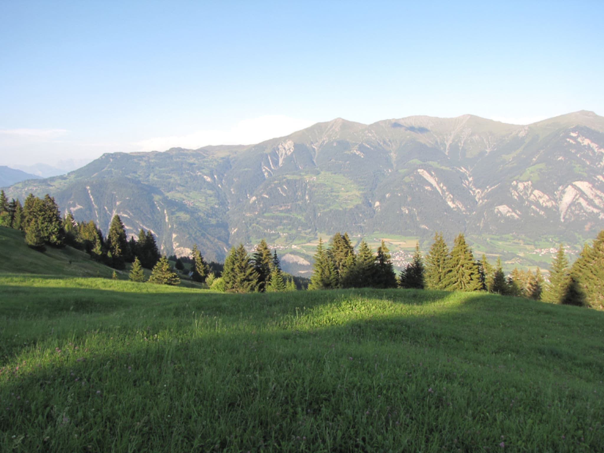 View