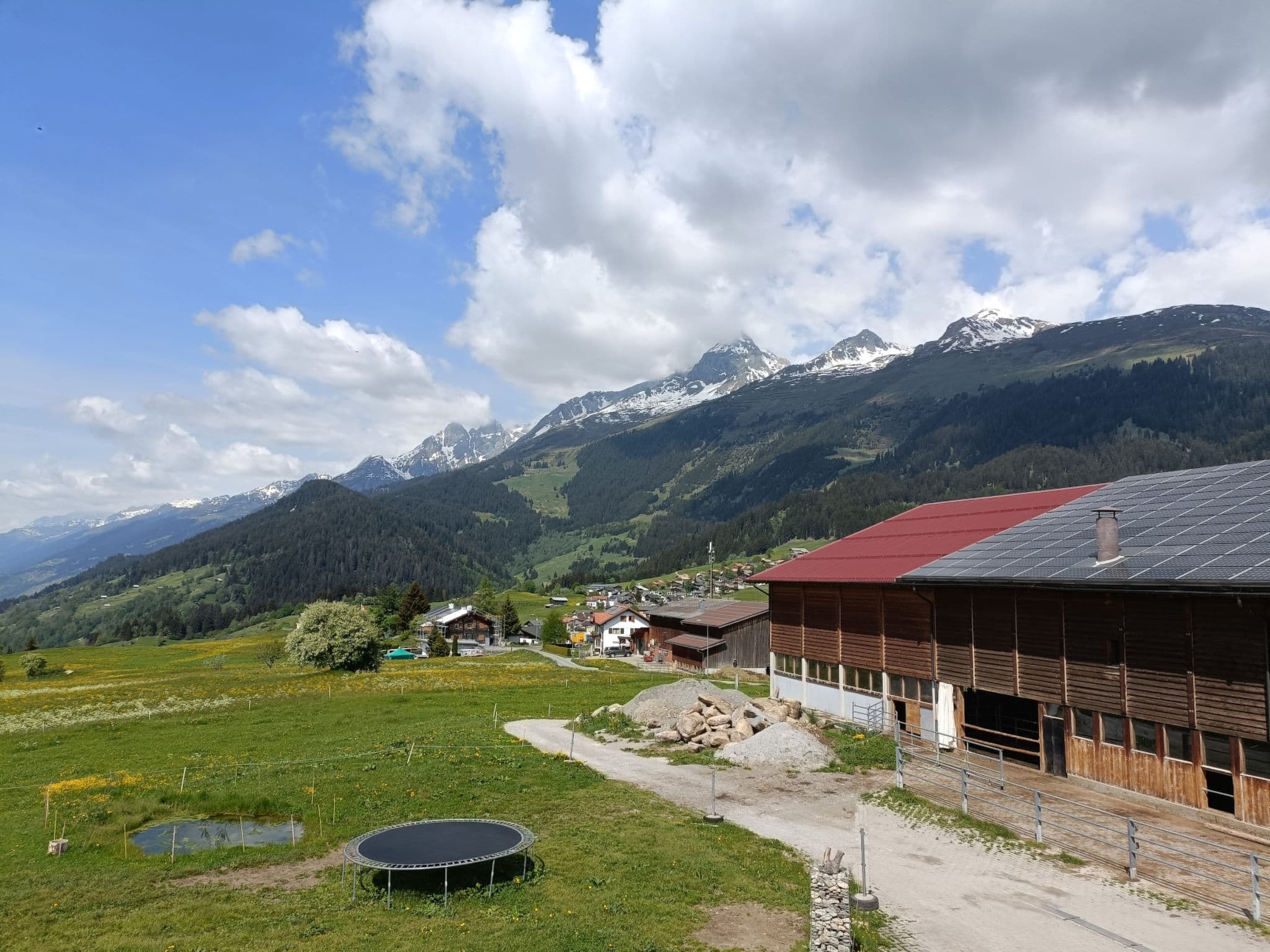 View