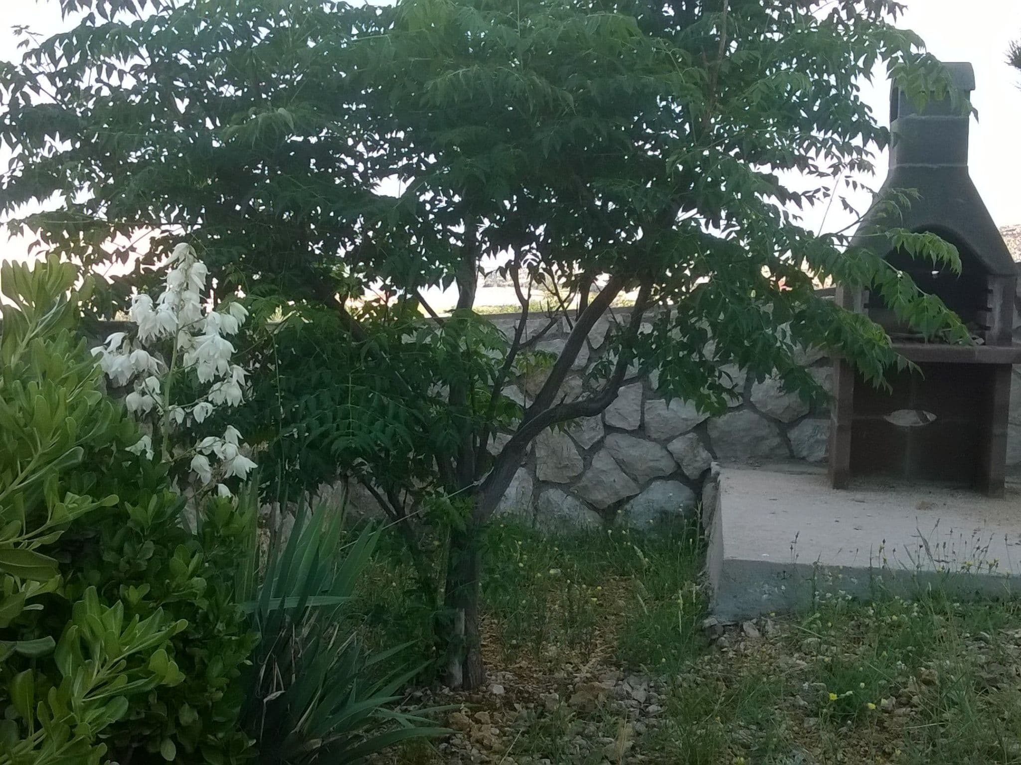 Outdoor