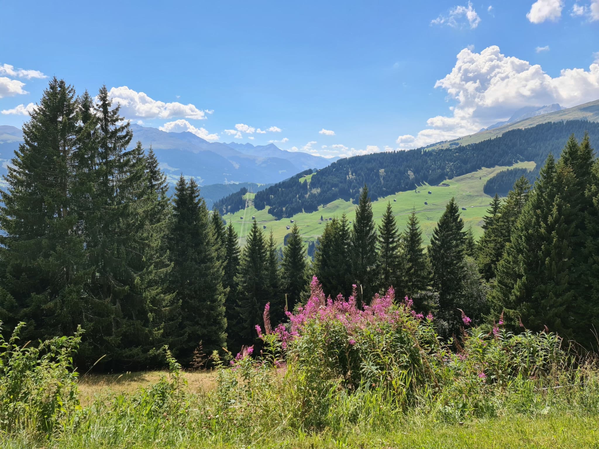View