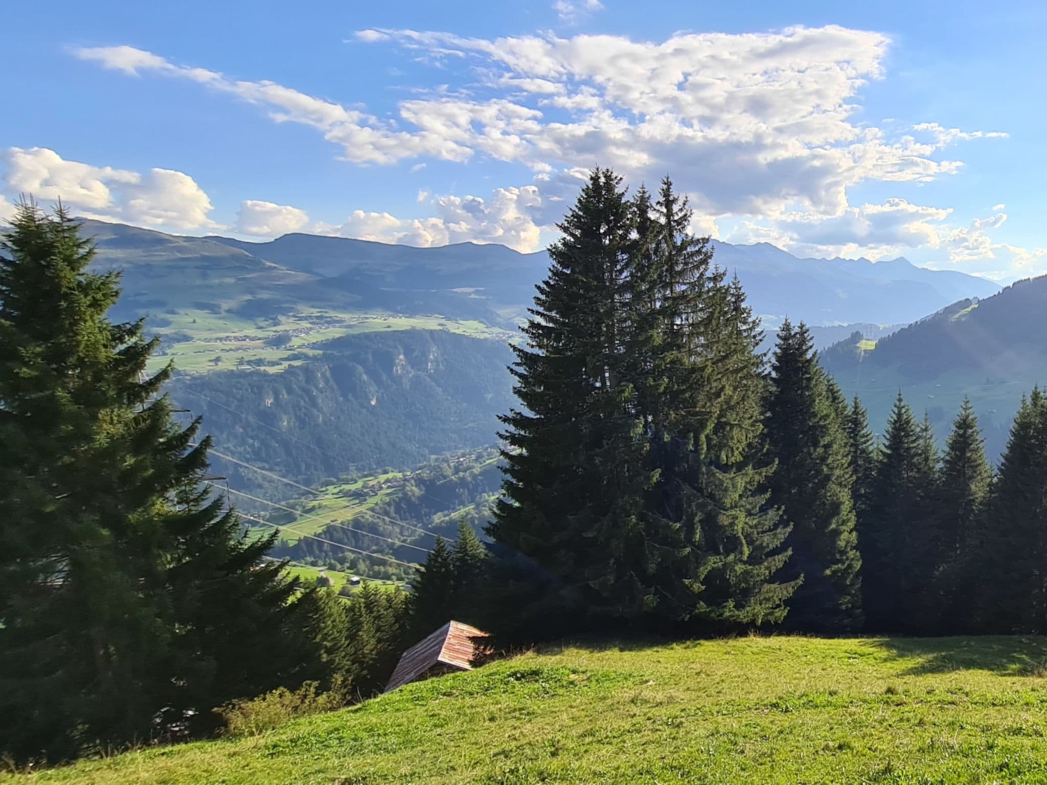 View