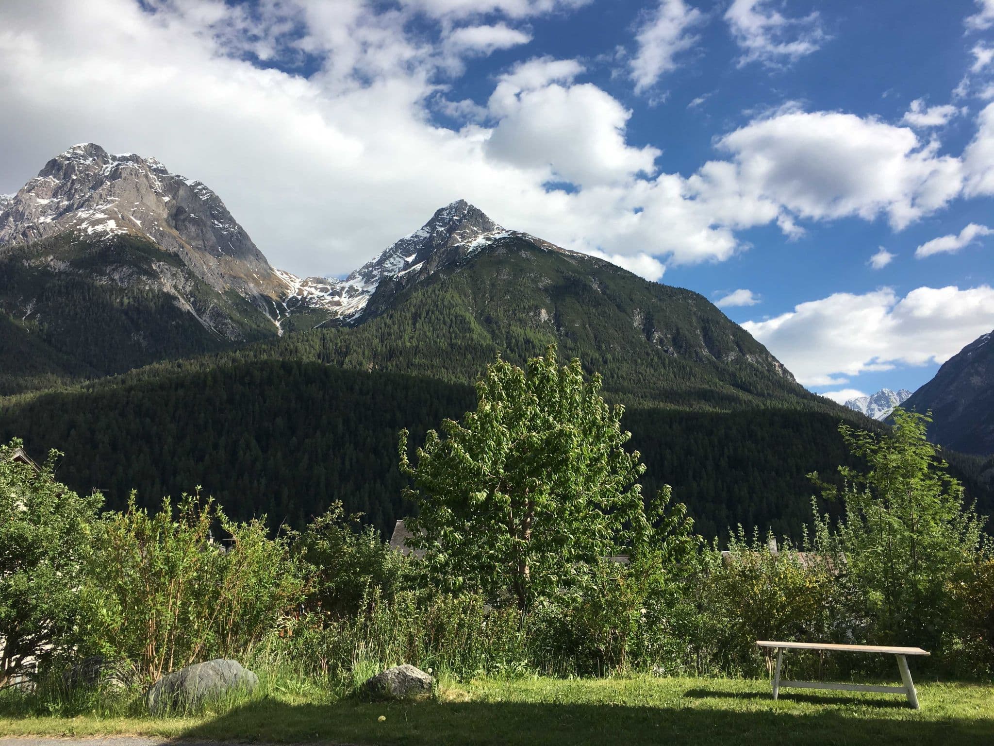 View