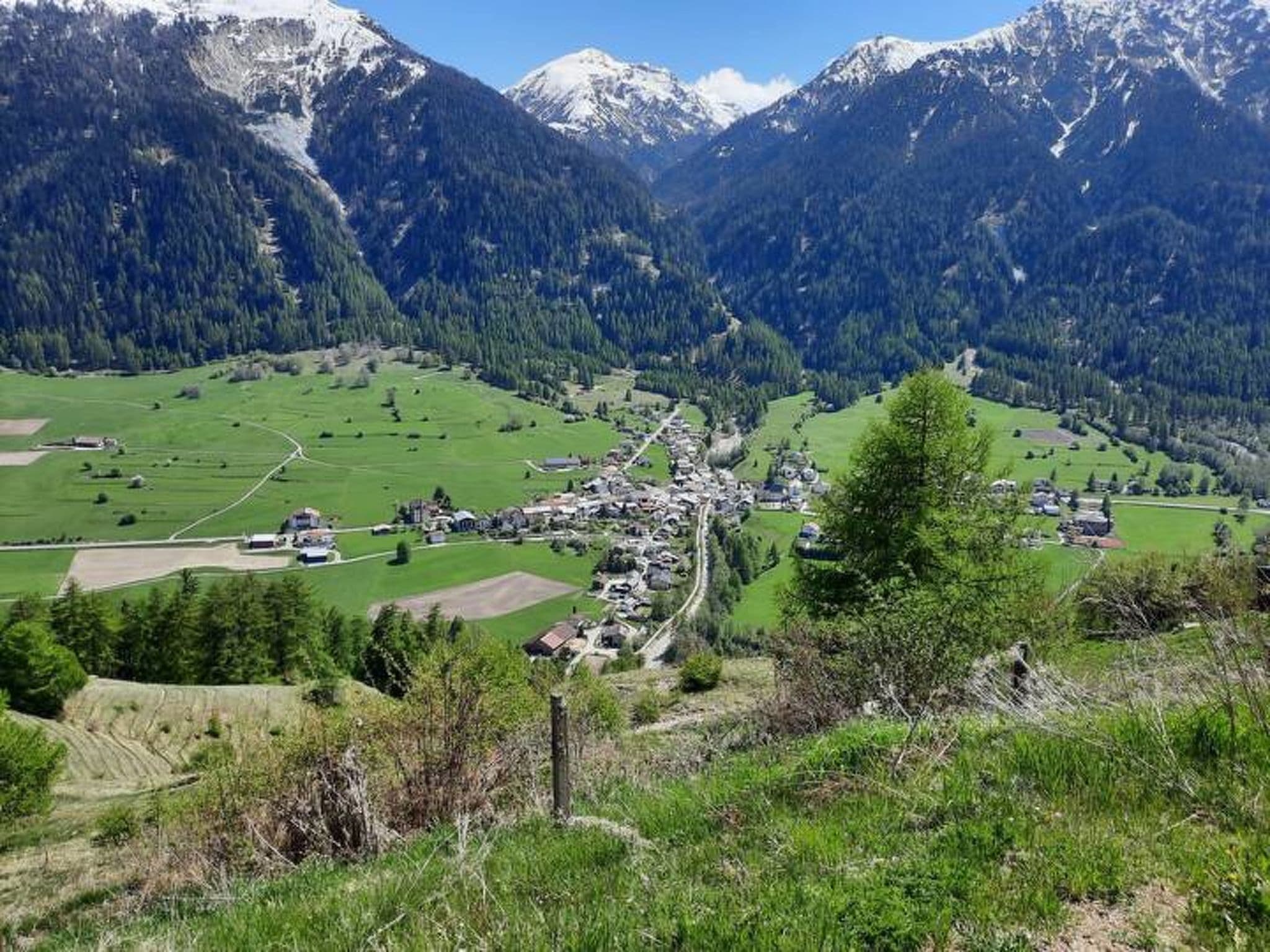 View