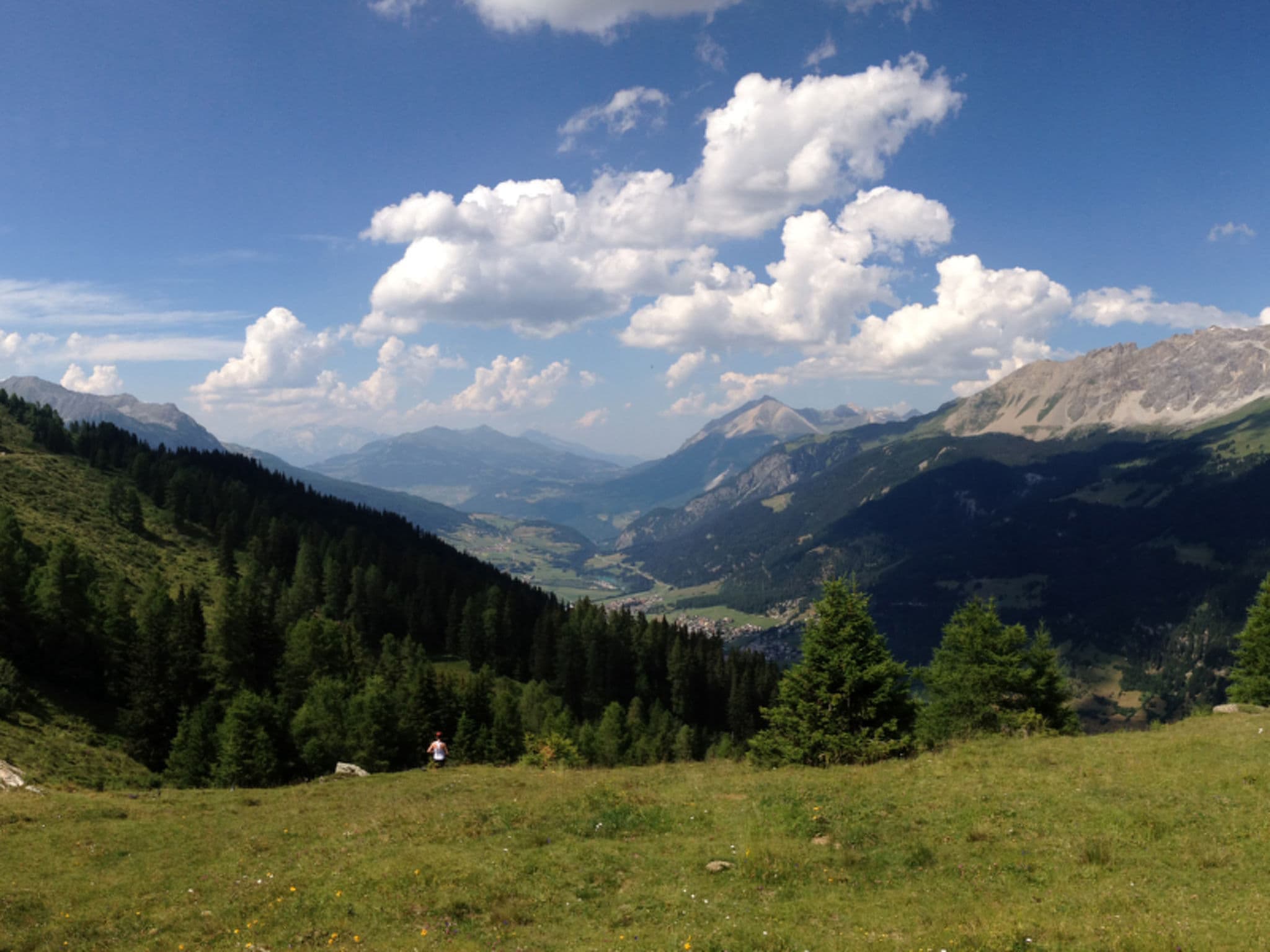 View