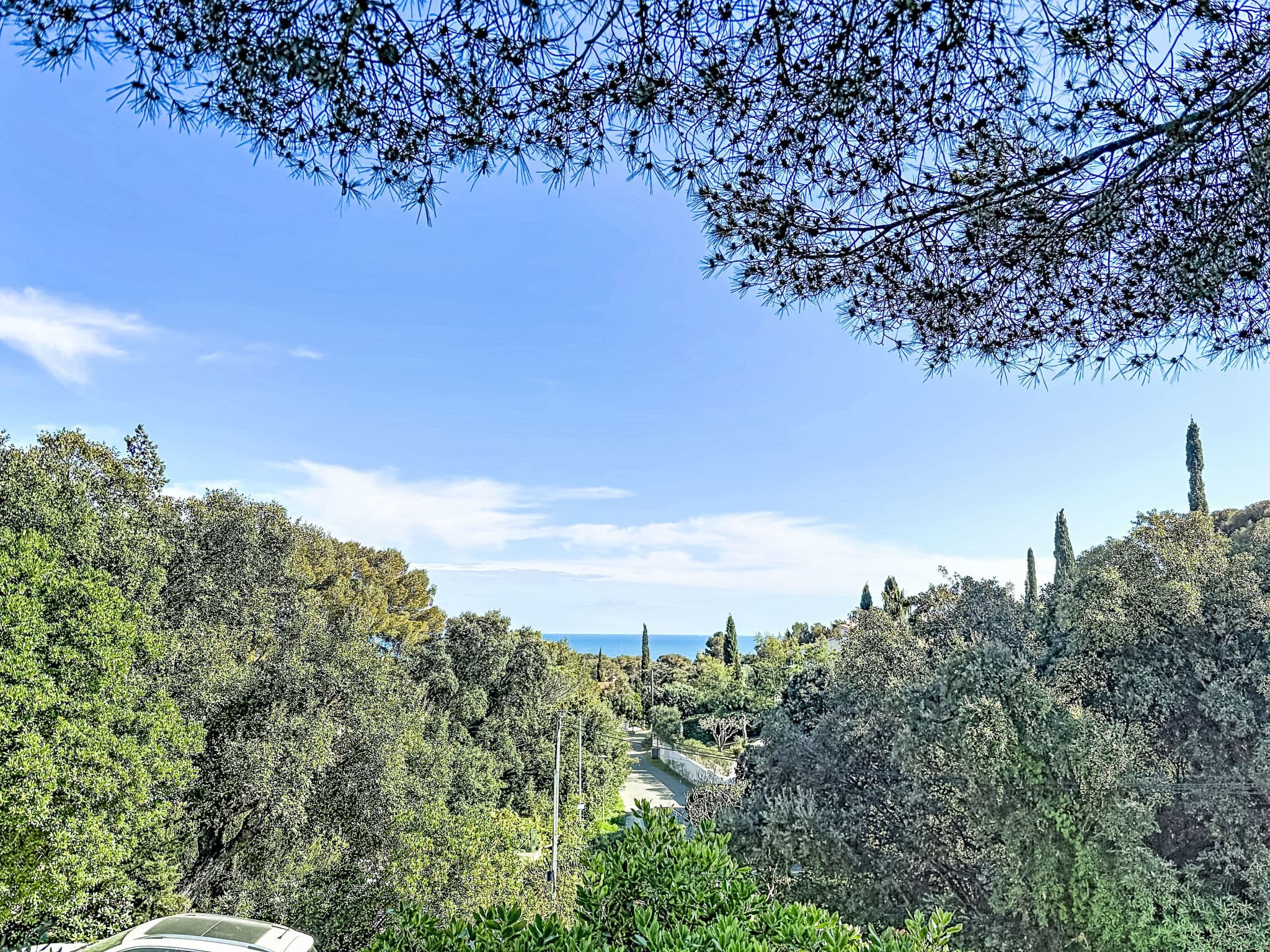 View
