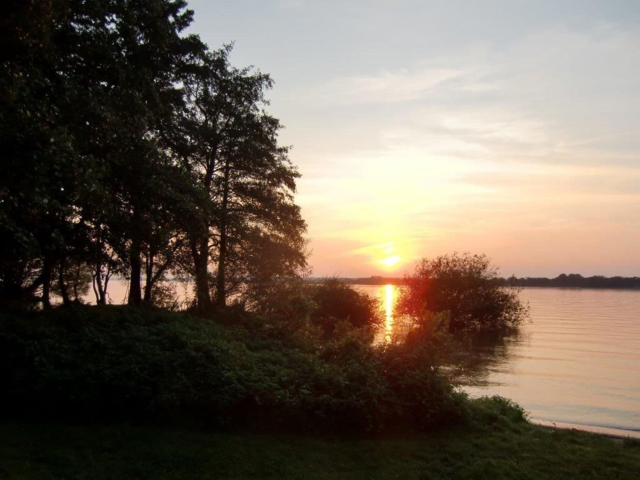 Gallery Image 20
