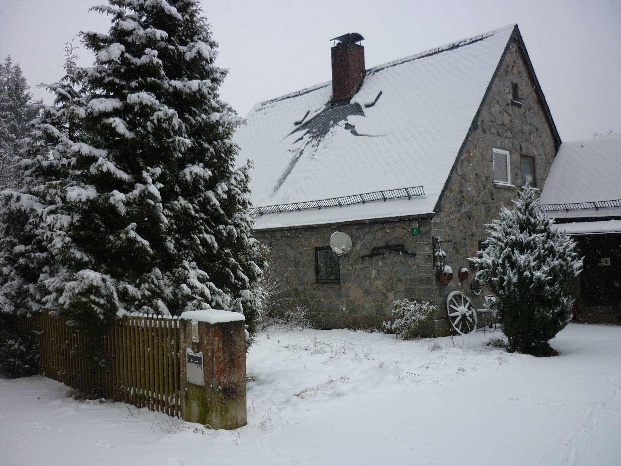 Gallery Image 41