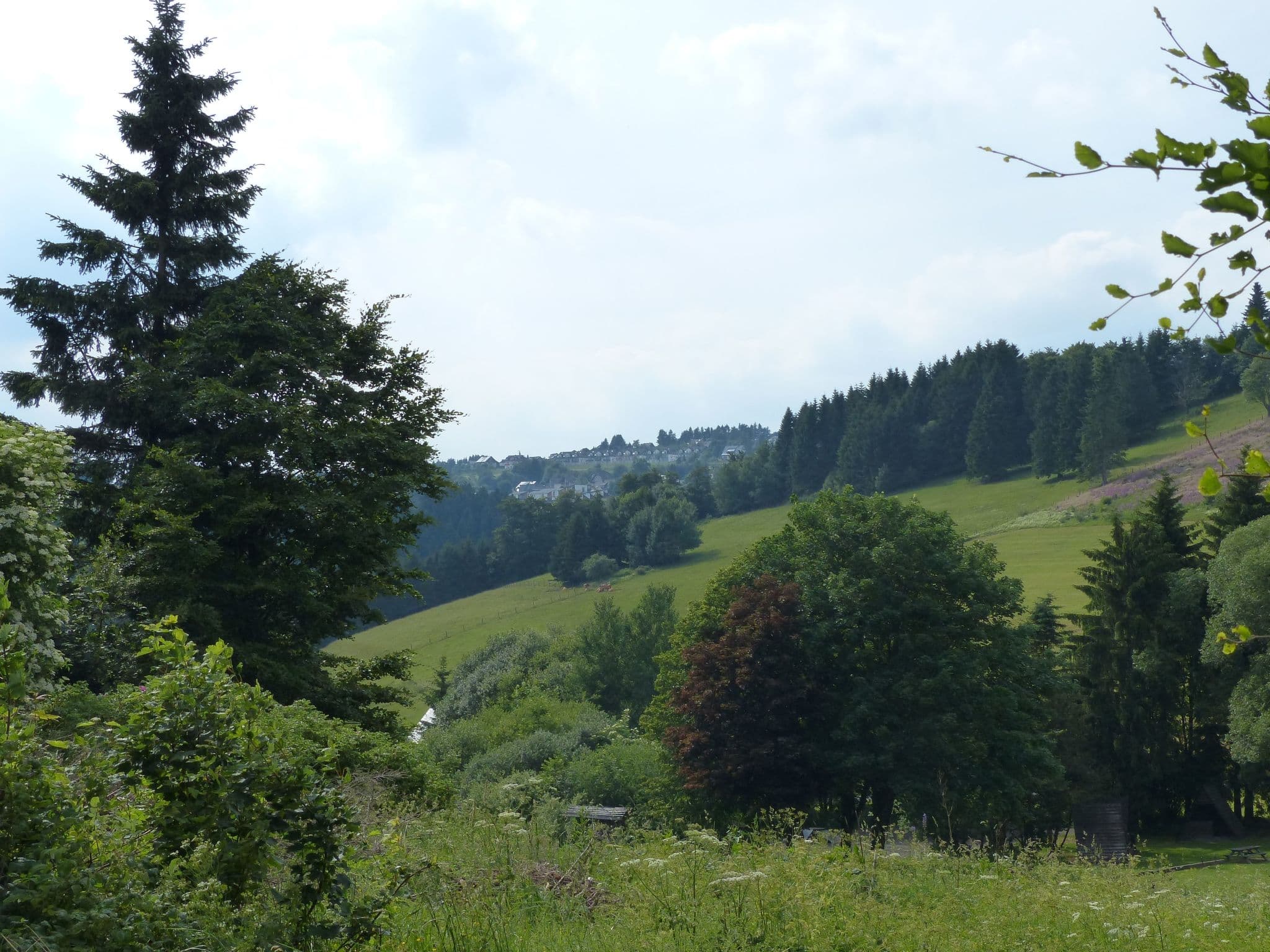 View