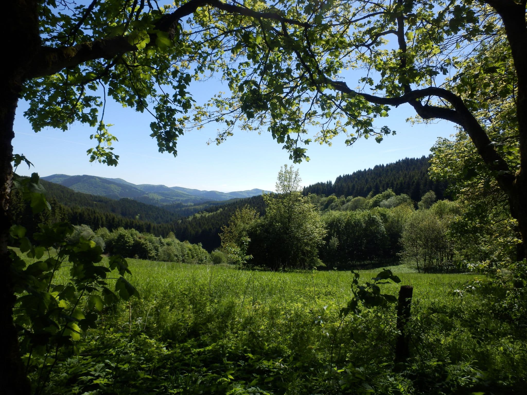 View