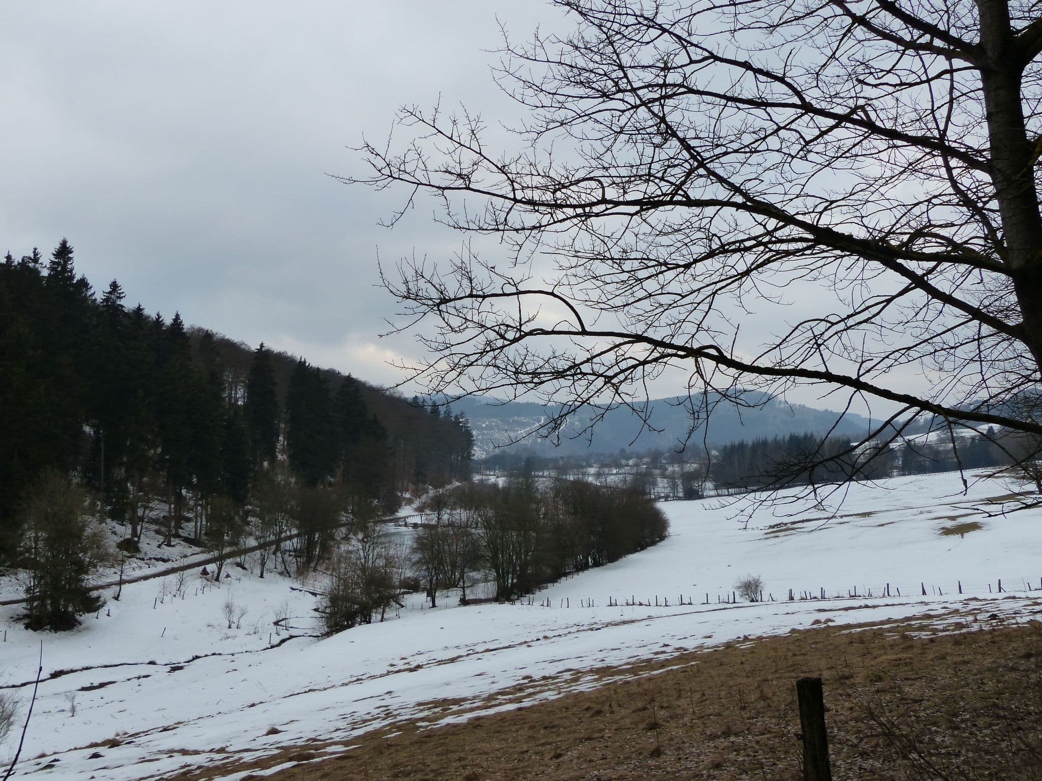 View