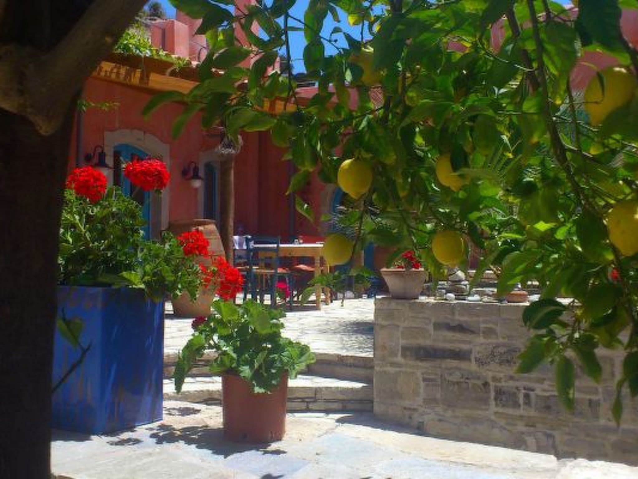 Terrace