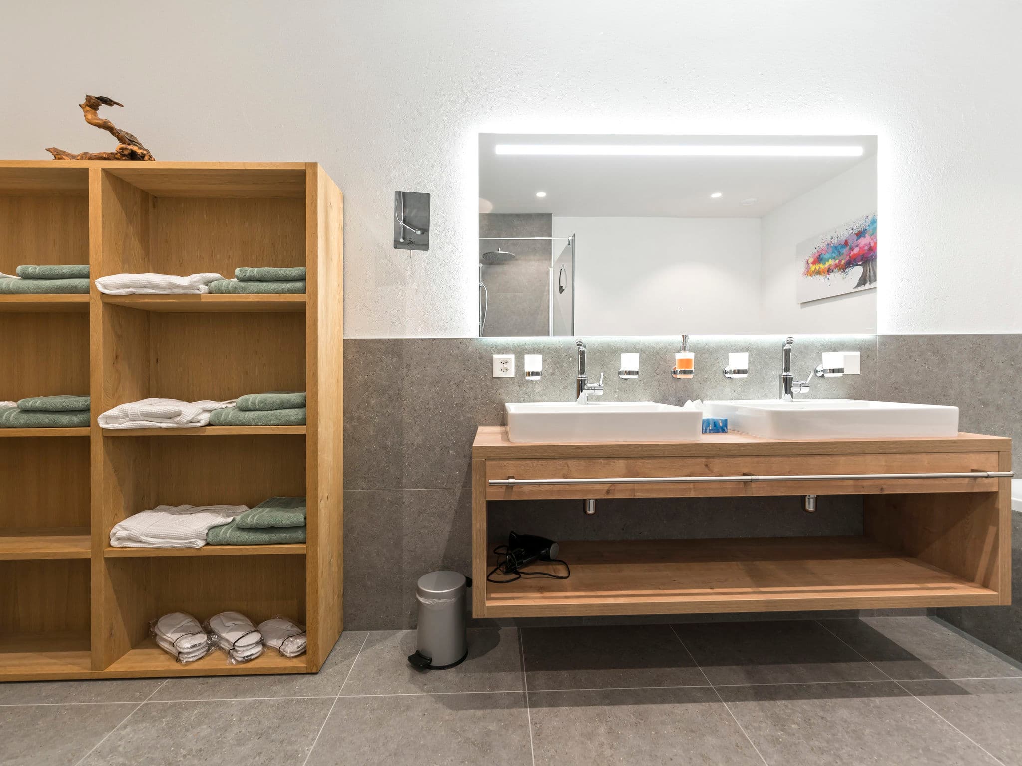 Bathroom / Wellness