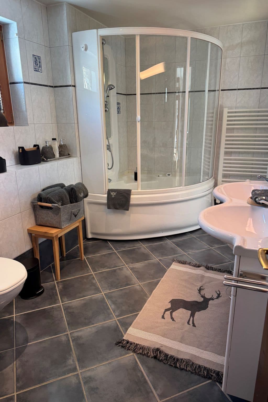 Bathroom / Wellness