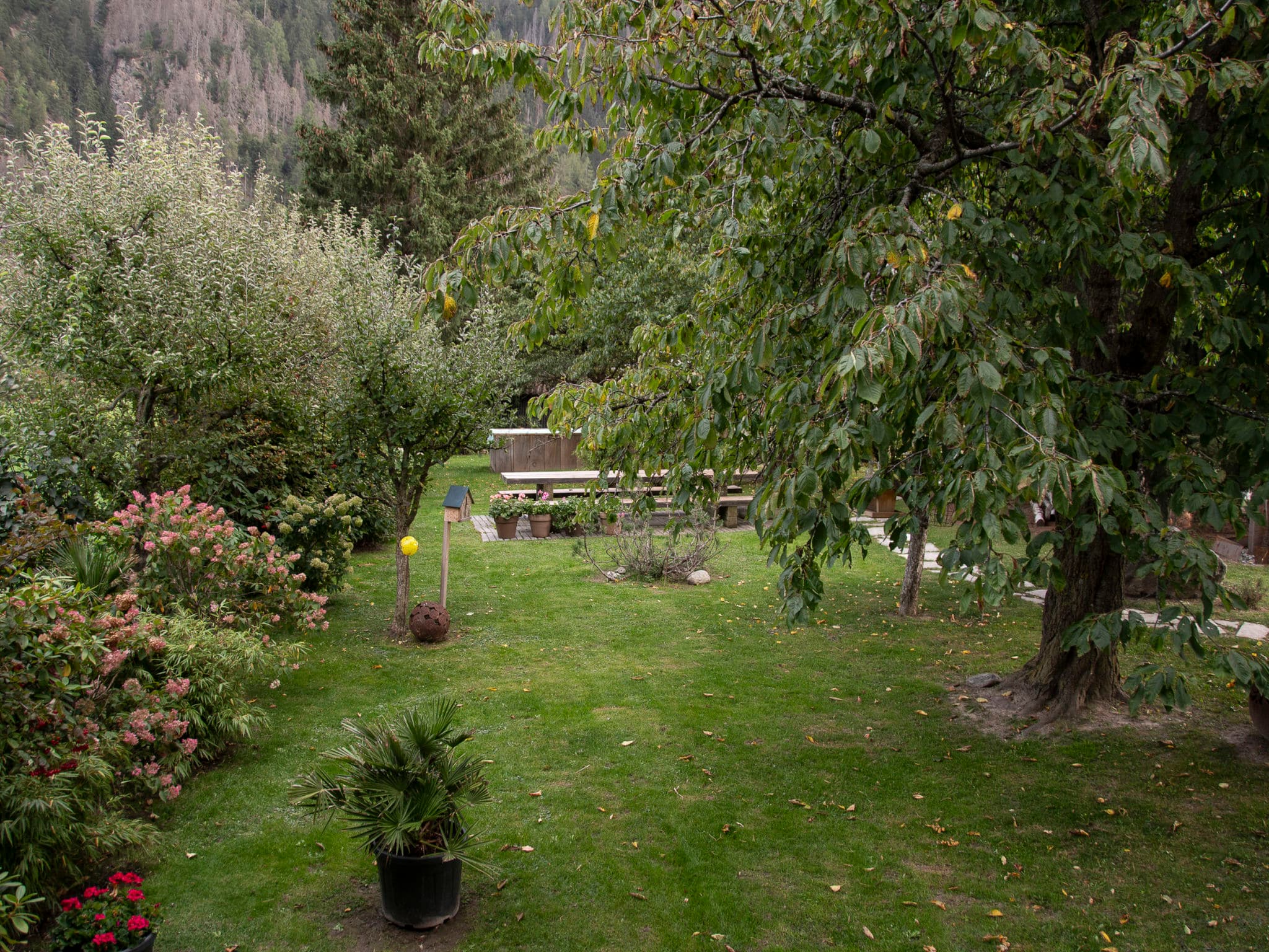 Outdoor