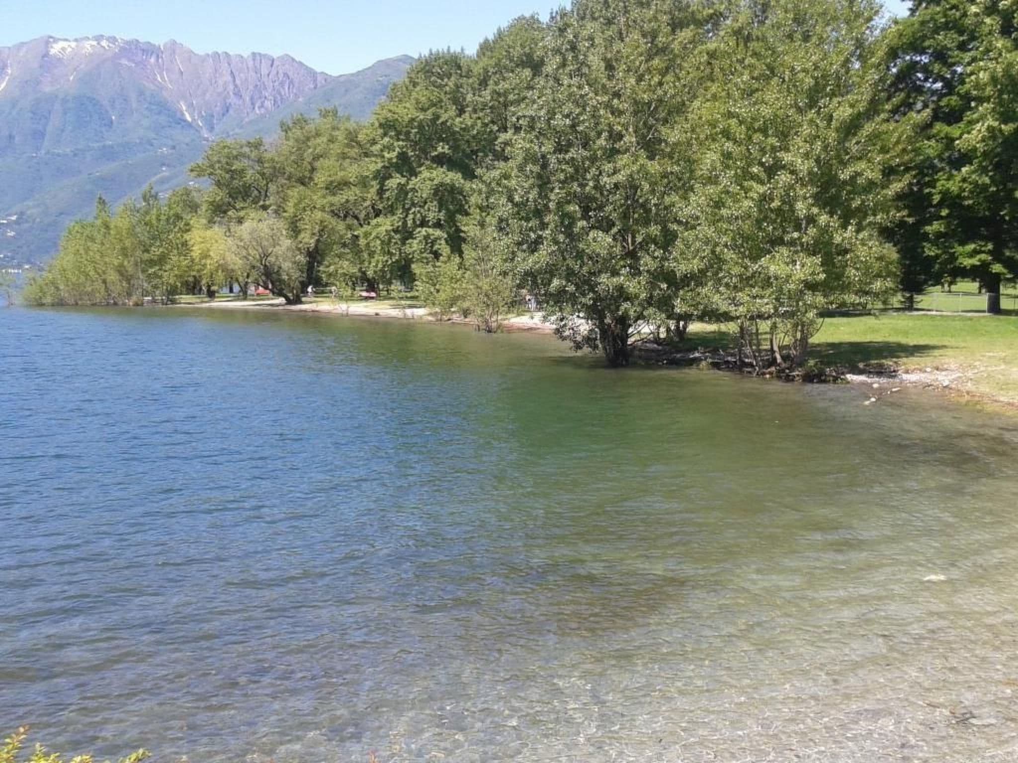 Gallery Image 21