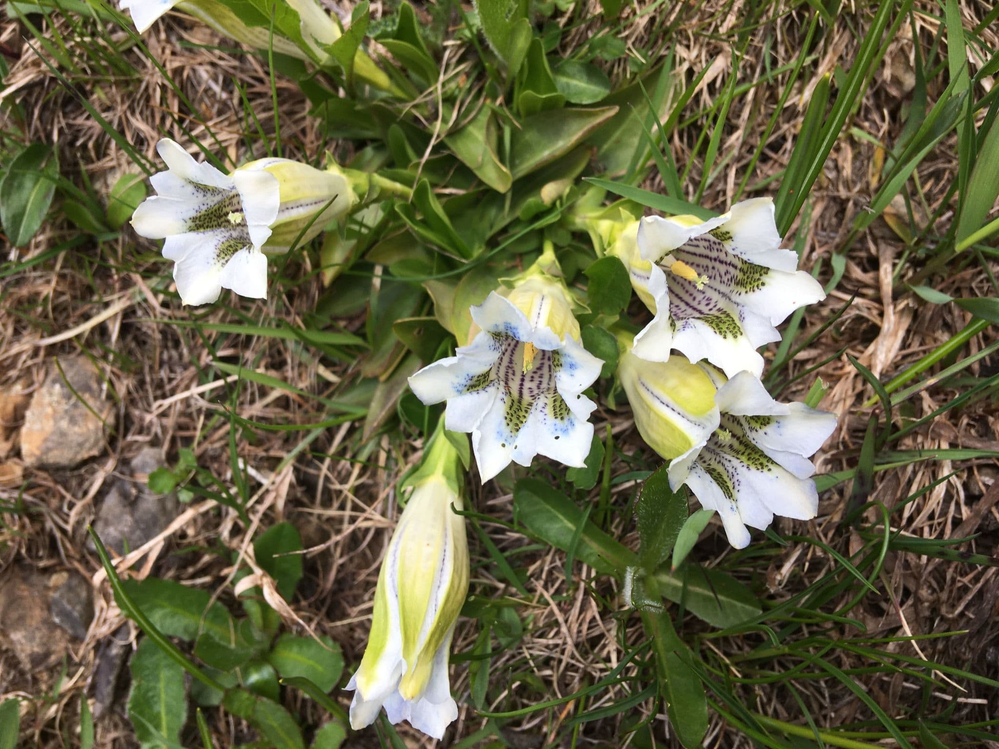 Gallery Image 23