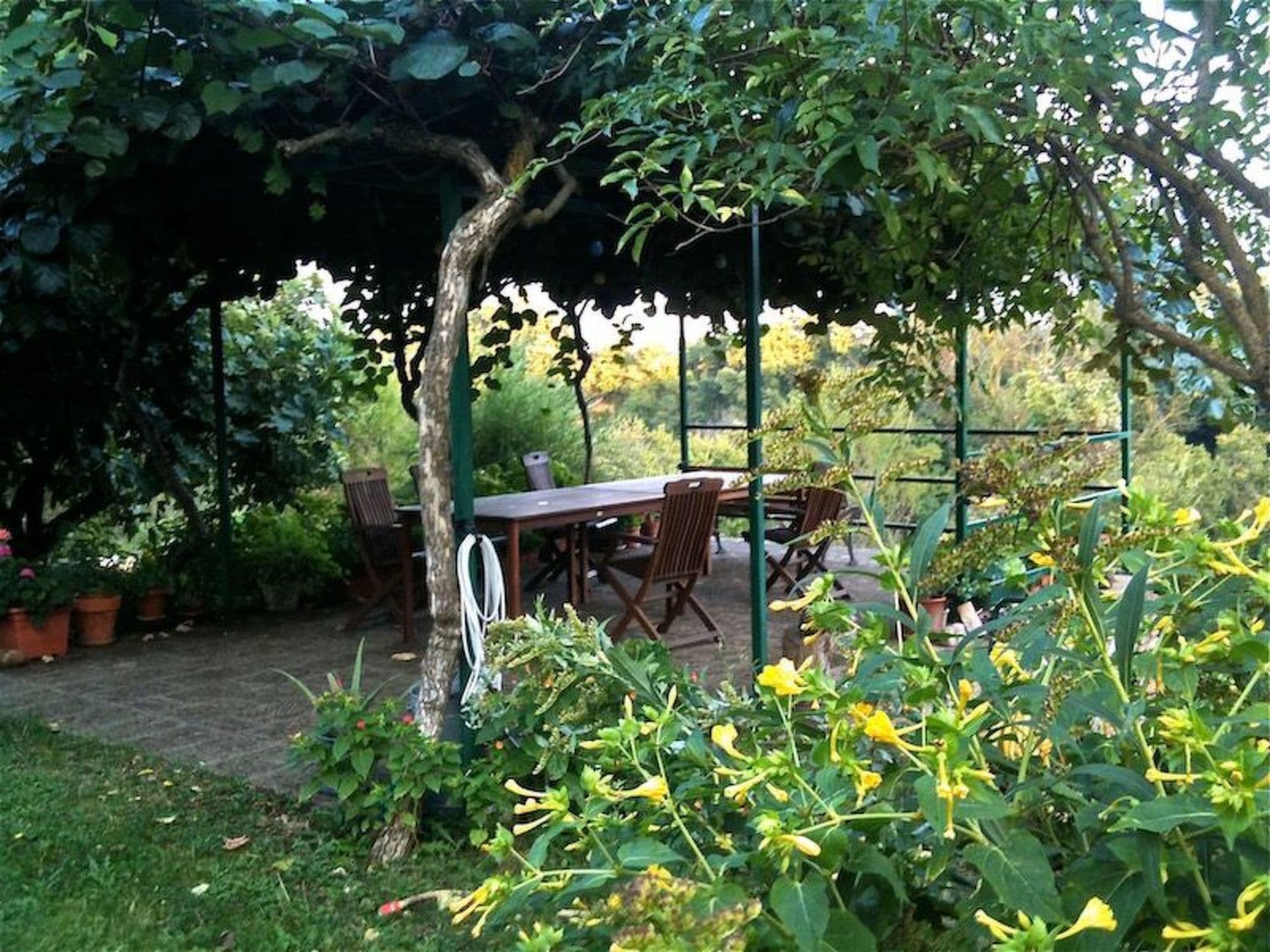 Gallery Image 22